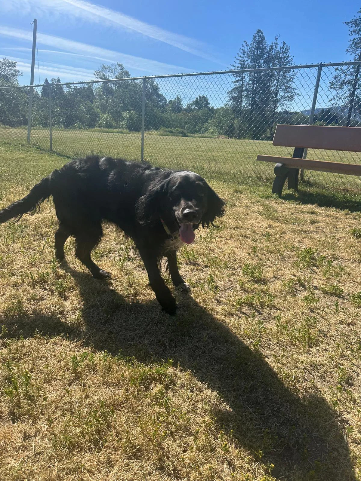 PHOTO-2025-05-06-16-14-07 3.jpeg