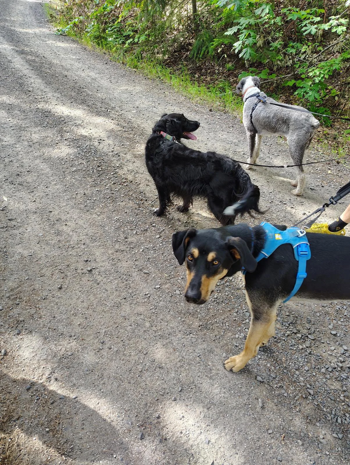 PHOTO-2025-06-06-17-26-23 7.jpeg