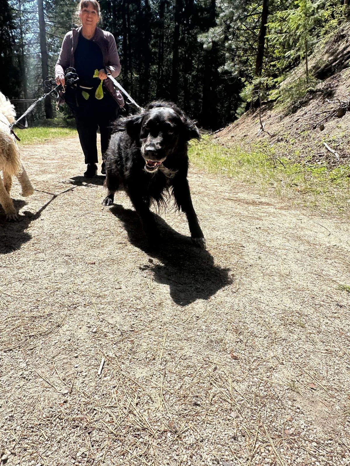 PHOTO-2025-05-03-15-24-11 14.jpeg