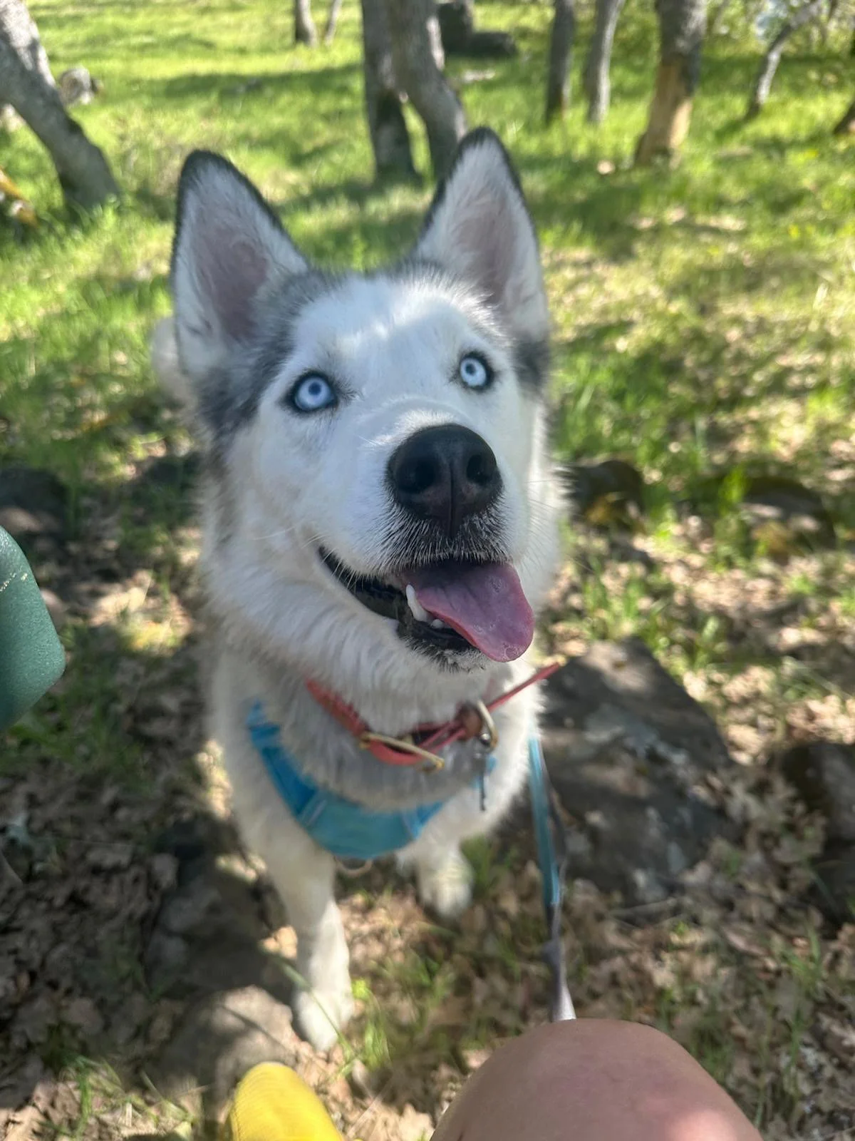 PHOTO-2025-04-30-17-33-10 15.jpeg