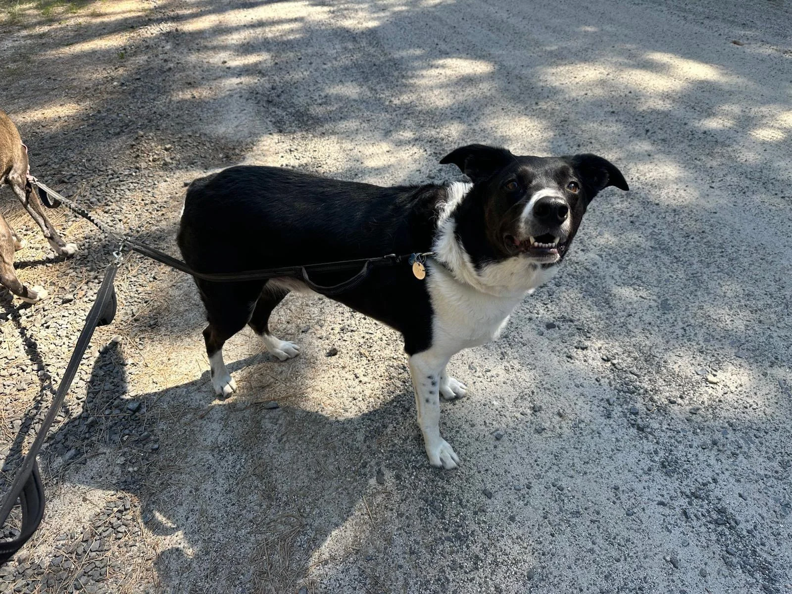 PHOTO-2025-04-30-17-33-10 10.jpeg