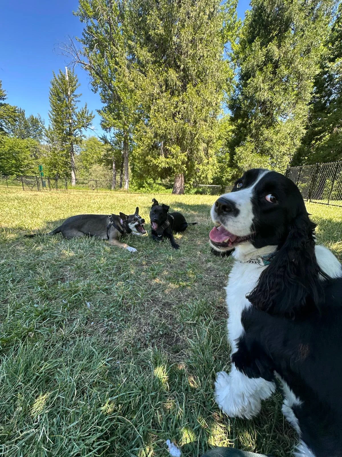 PHOTO-2025-05-22-16-51-35 10.jpeg