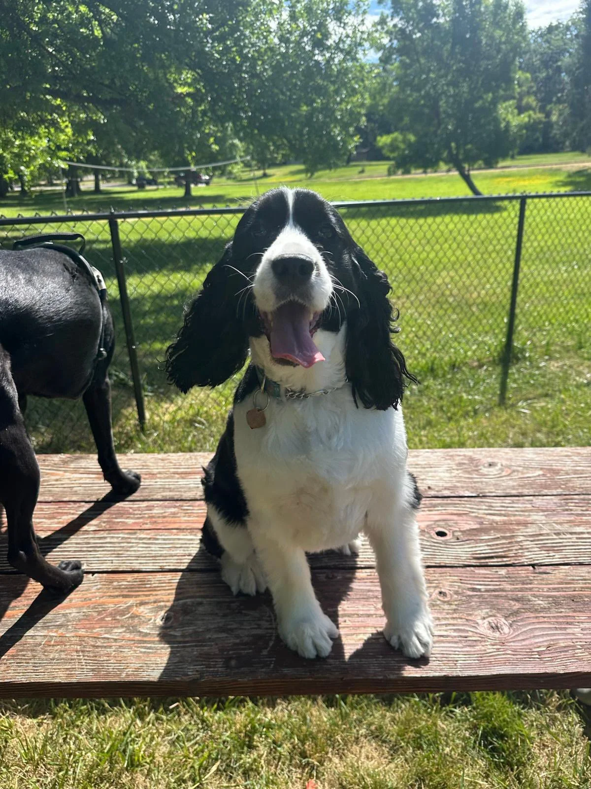 PHOTO-2025-05-22-16-51-35 2.jpeg