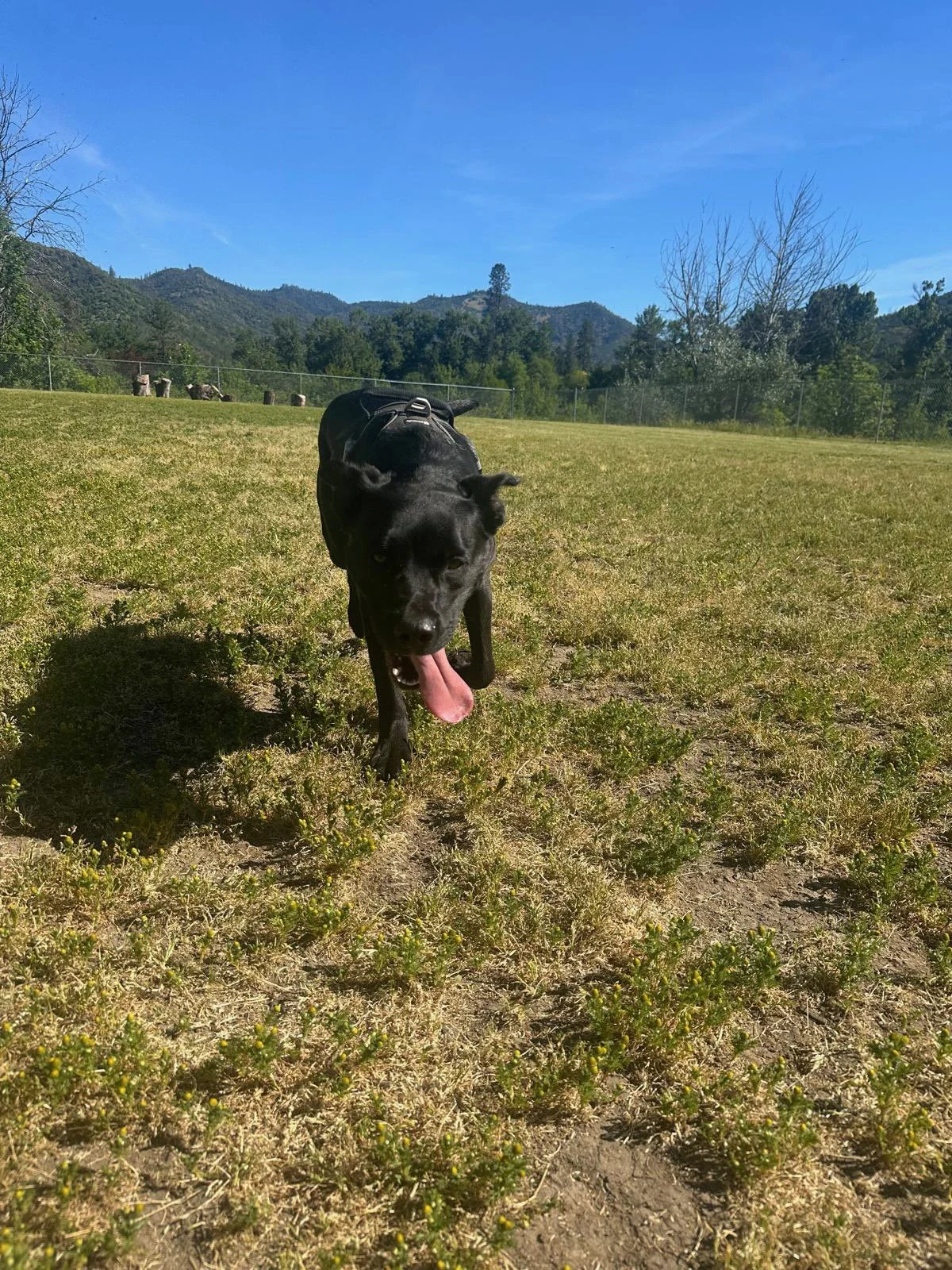 PHOTO-2025-05-06-16-13-57 2.jpeg