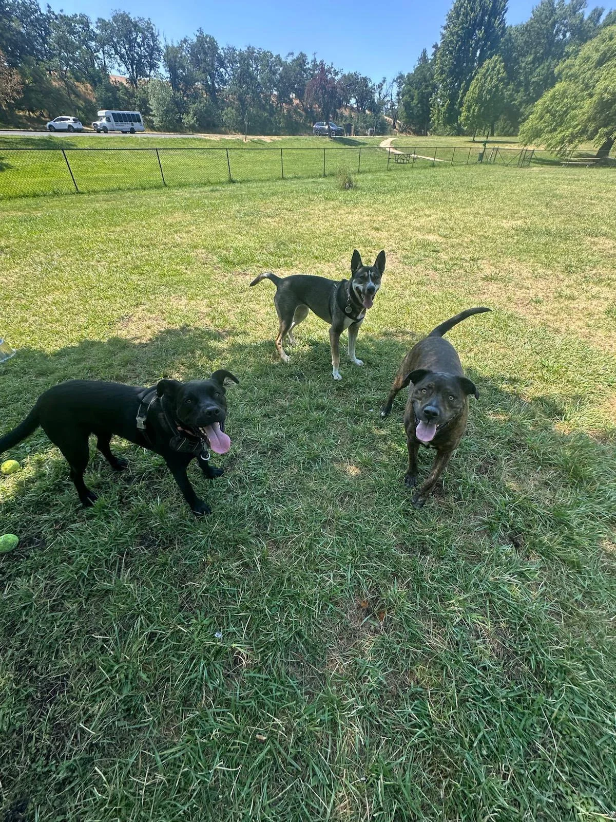 PHOTO-2025-06-05-15-42-22 5.jpeg