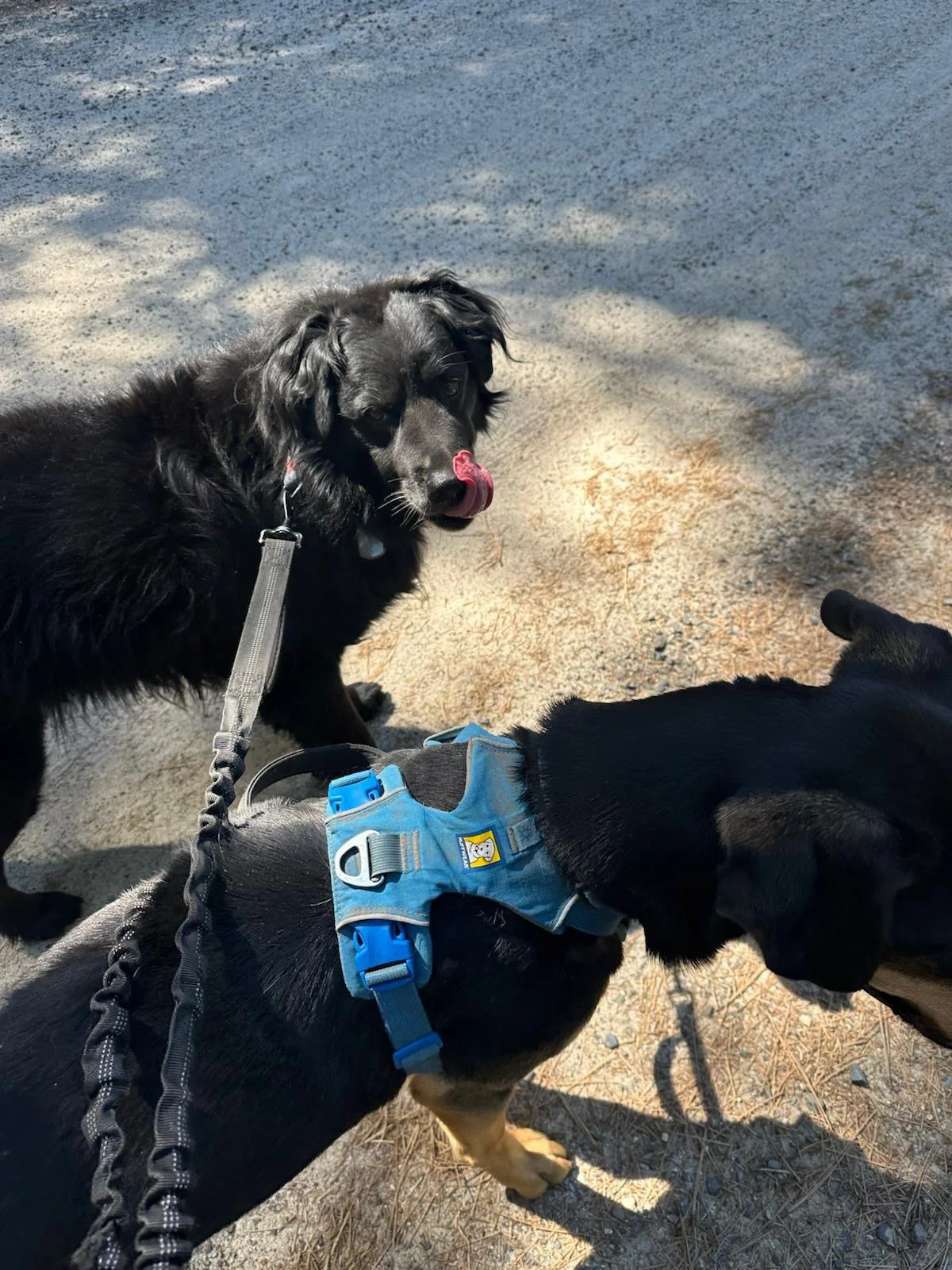 PHOTO-2025-04-30-17-33-10 8.jpeg