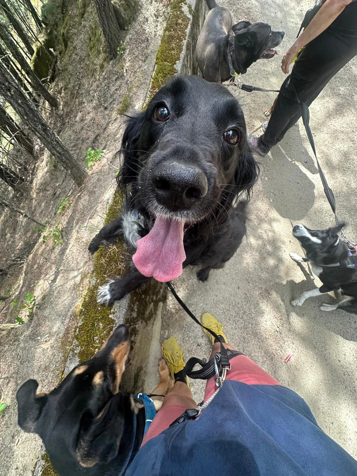 PHOTO-2025-06-06-17-26-23 3.jpeg