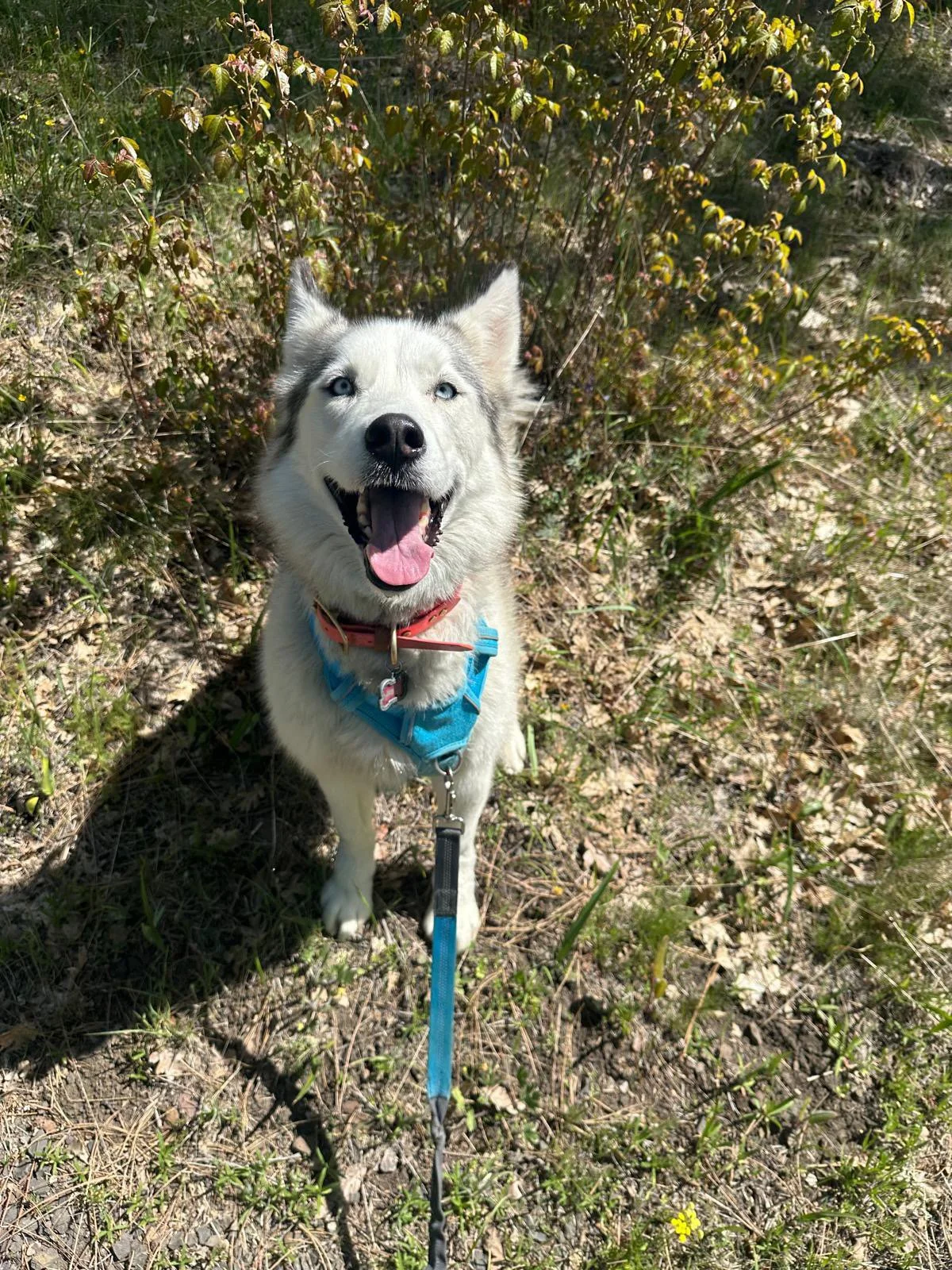 PHOTO-2025-04-30-17-33-01 2.jpeg