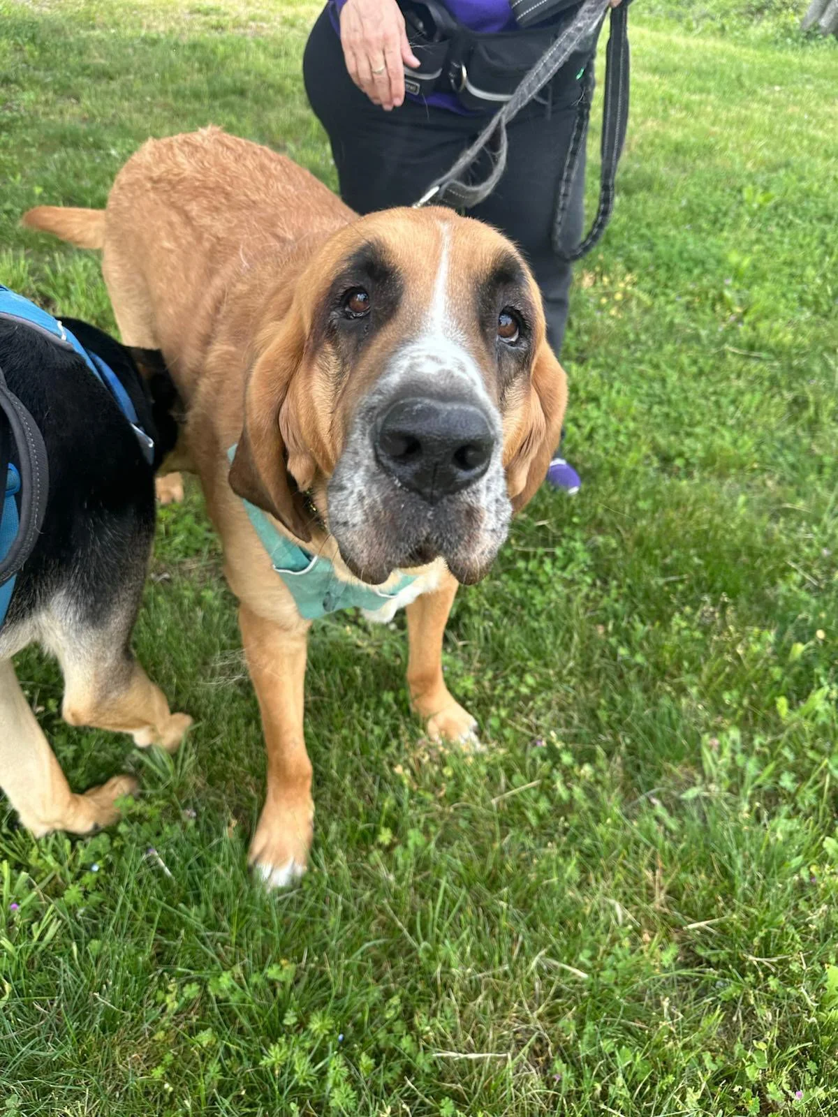 PHOTO-2025-04-30-17-33-45 6.jpeg