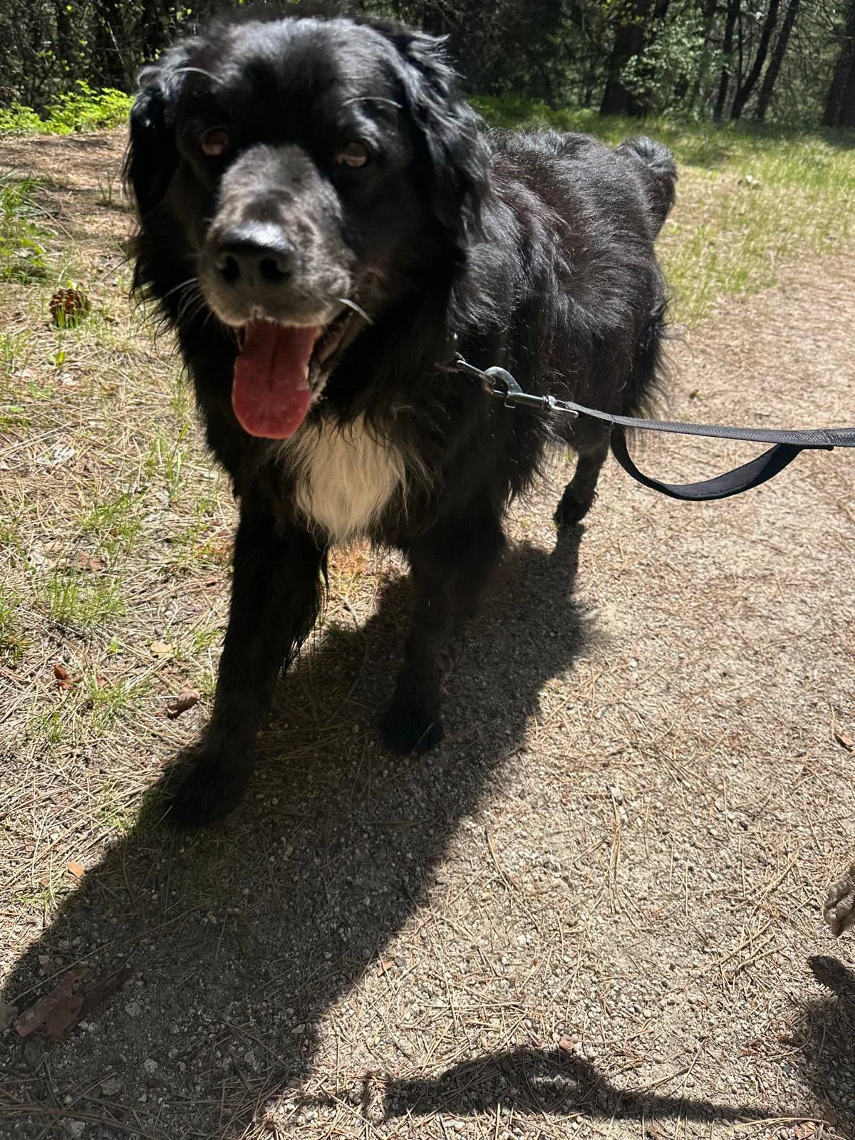 PHOTO-2025-05-03-15-24-11 18.jpeg