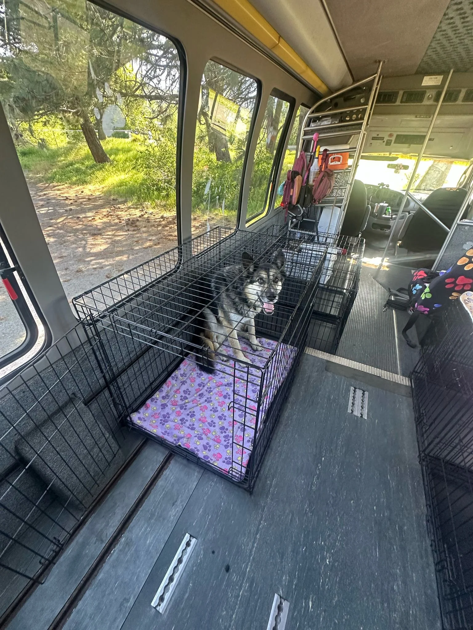 PHOTO-2025-05-01-16-31-02 2.jpeg