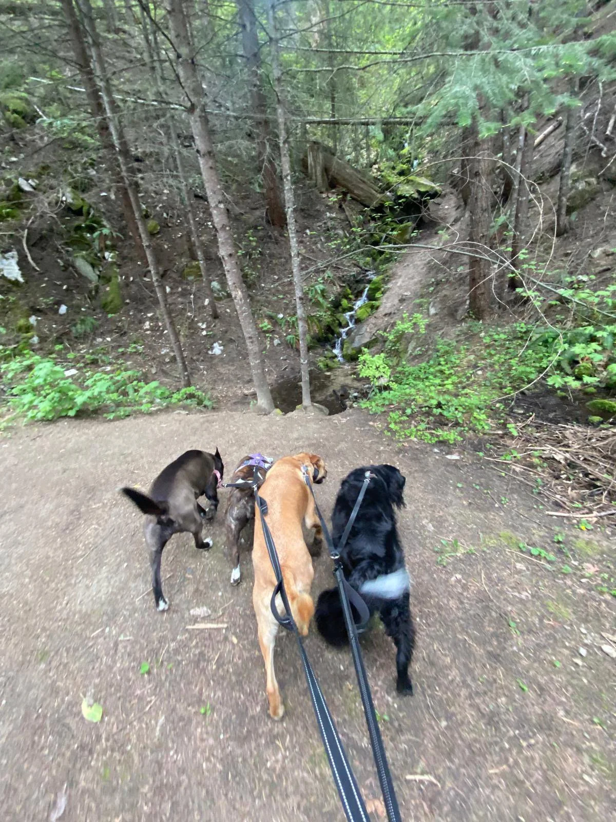 PHOTO-2025-05-23-18-43-10 3.jpeg