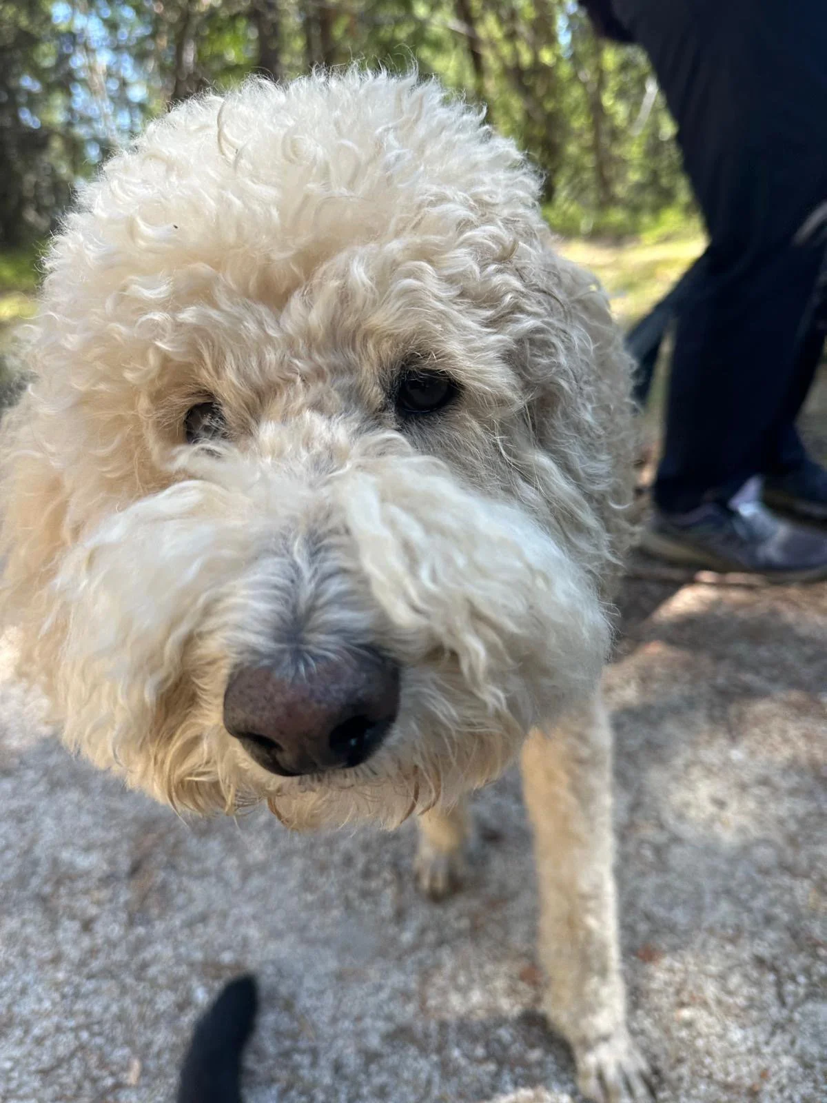 PHOTO-2025-05-03-15-24-11 8.jpeg