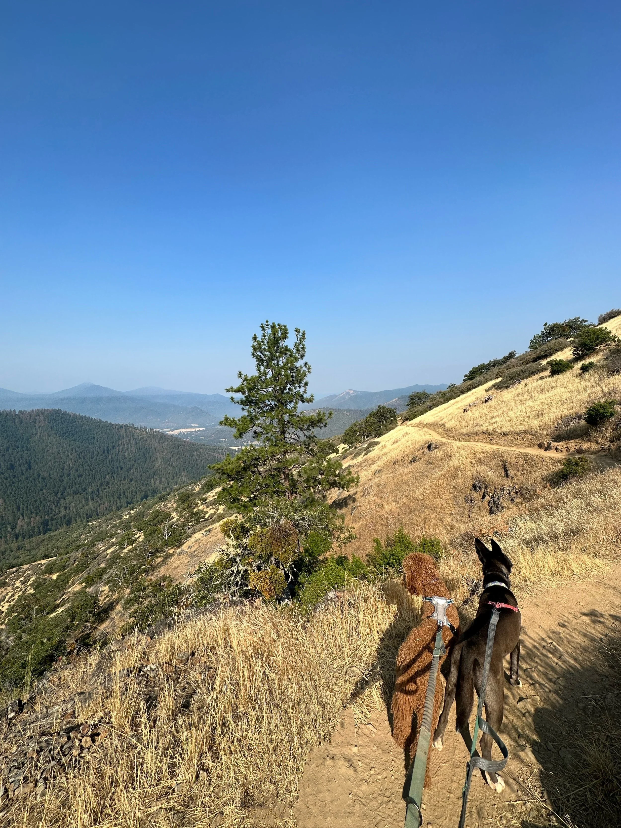 IMG_3110 Copy_Original.JPG