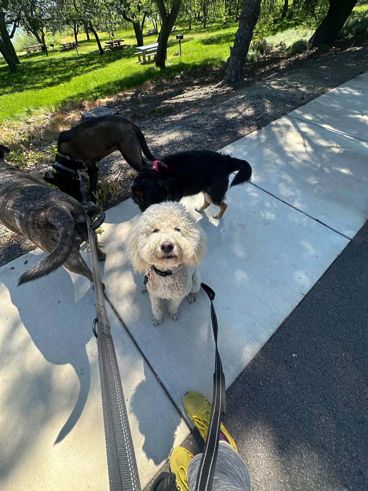 PHOTO-2025-05-22-16-46-11 11.jpeg