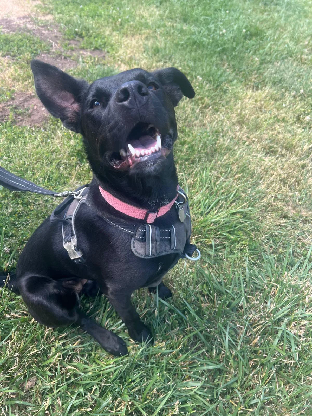 PHOTO-2025-05-20-12-13-41 7.jpeg