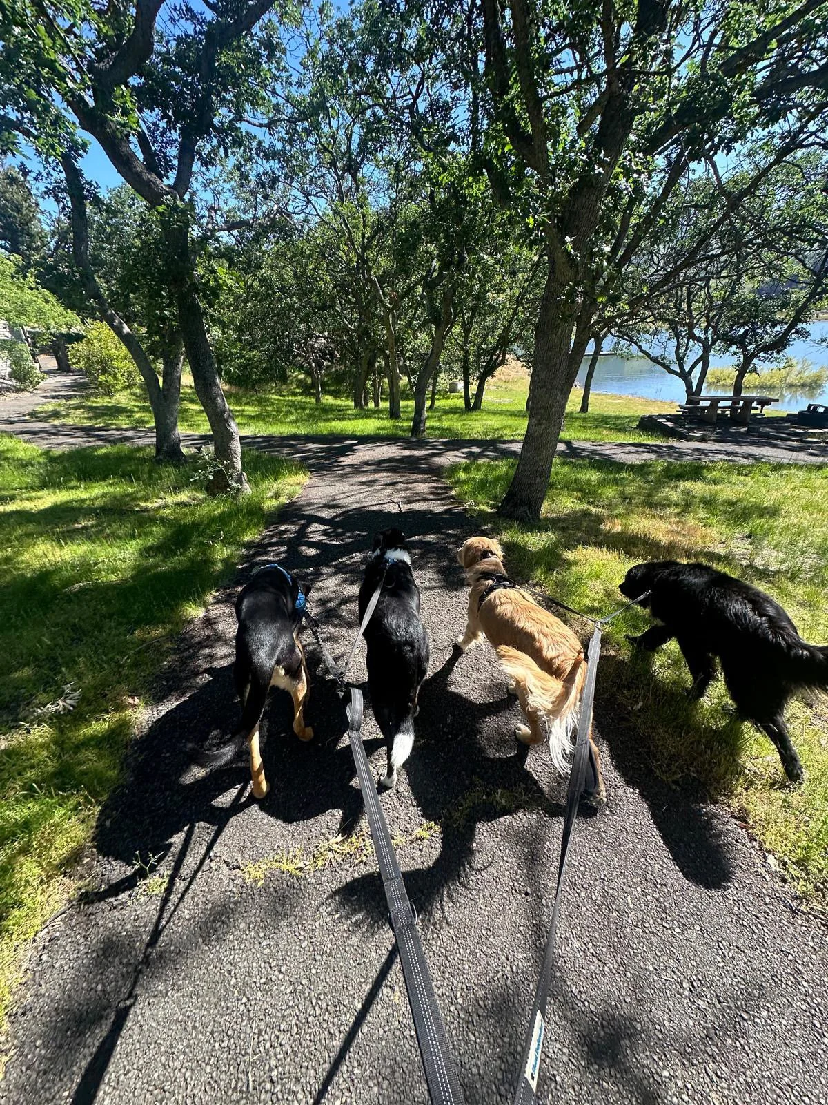 PHOTO-2025-05-22-16-46-11 6.jpeg