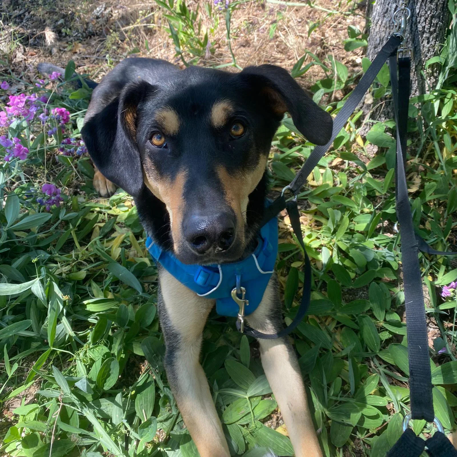 PHOTO-2025-06-11-12-23-29 2.jpeg