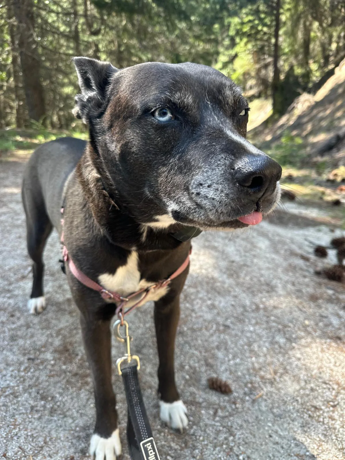 PHOTO-2025-05-03-15-24-11 7.jpeg