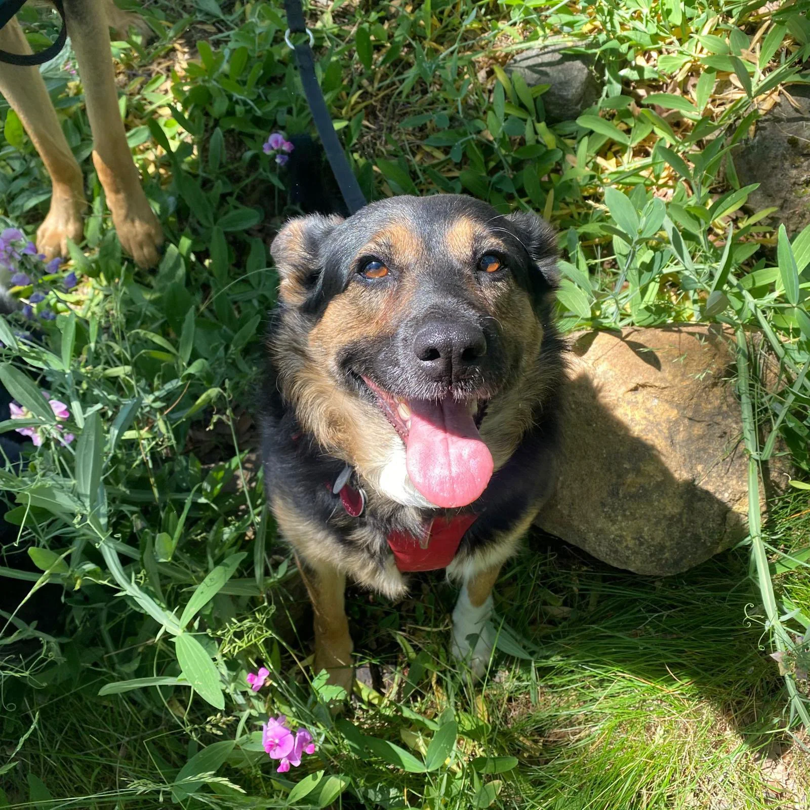 PHOTO-2025-06-11-12-23-30 2.jpeg