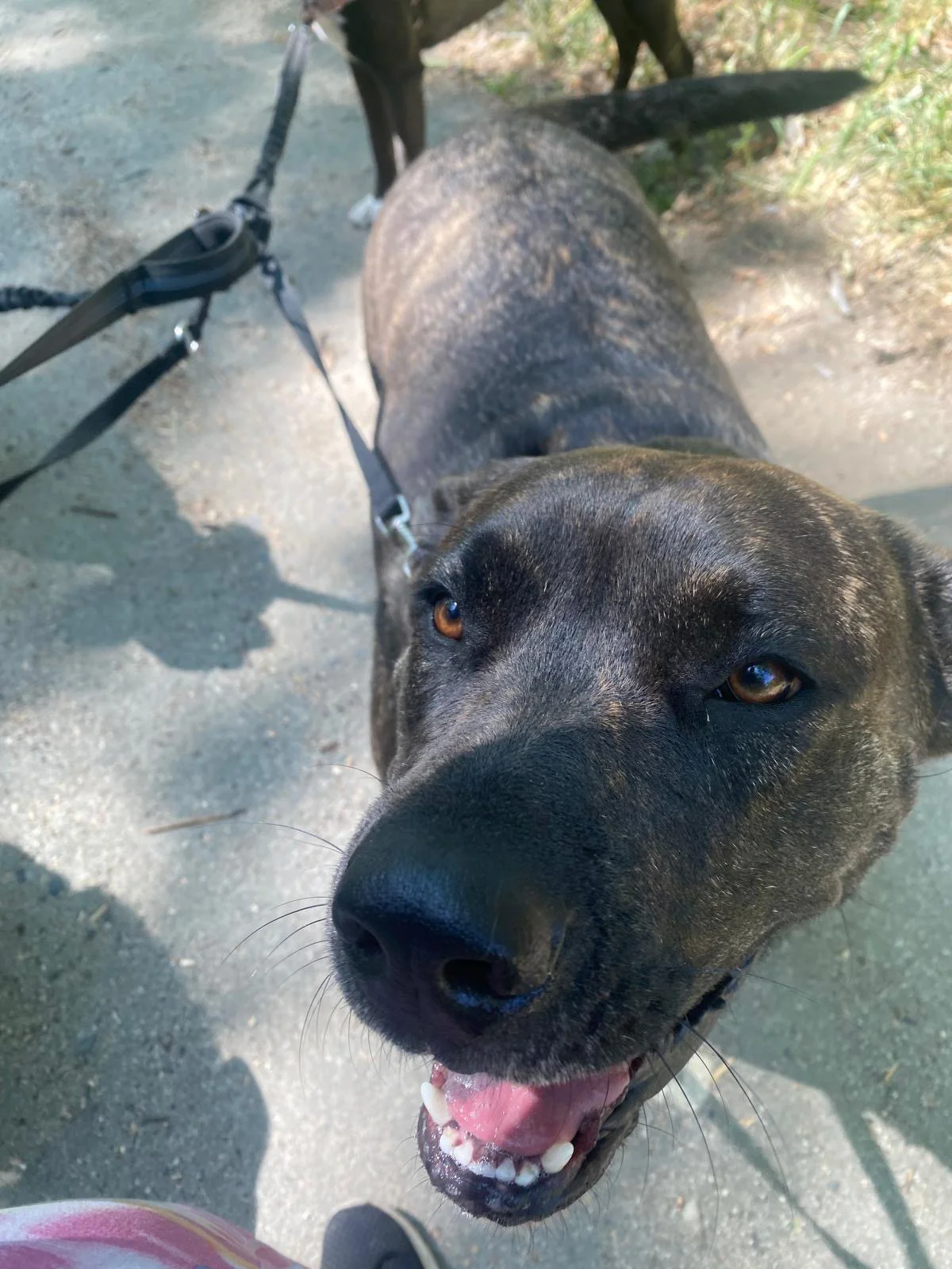 PHOTO-2025-06-04-16-48-48 4.jpeg