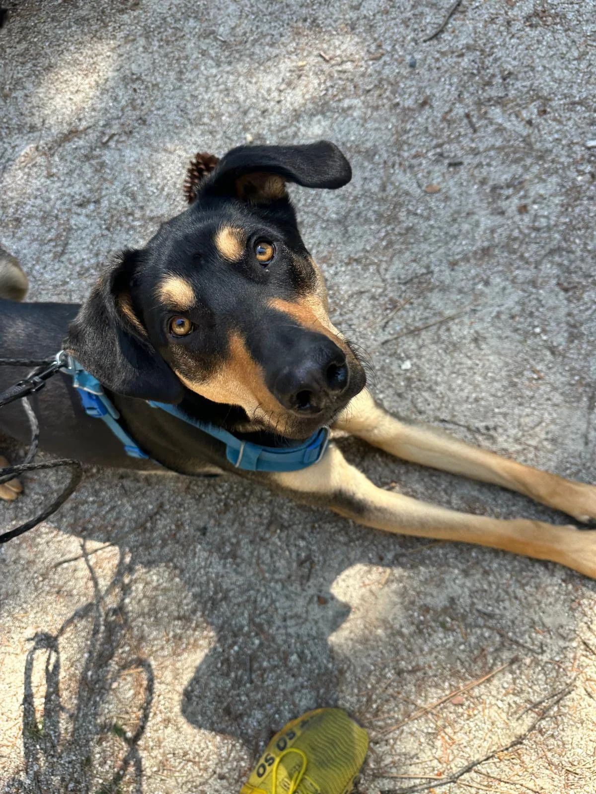 PHOTO-2025-05-03-15-24-11 2.jpeg