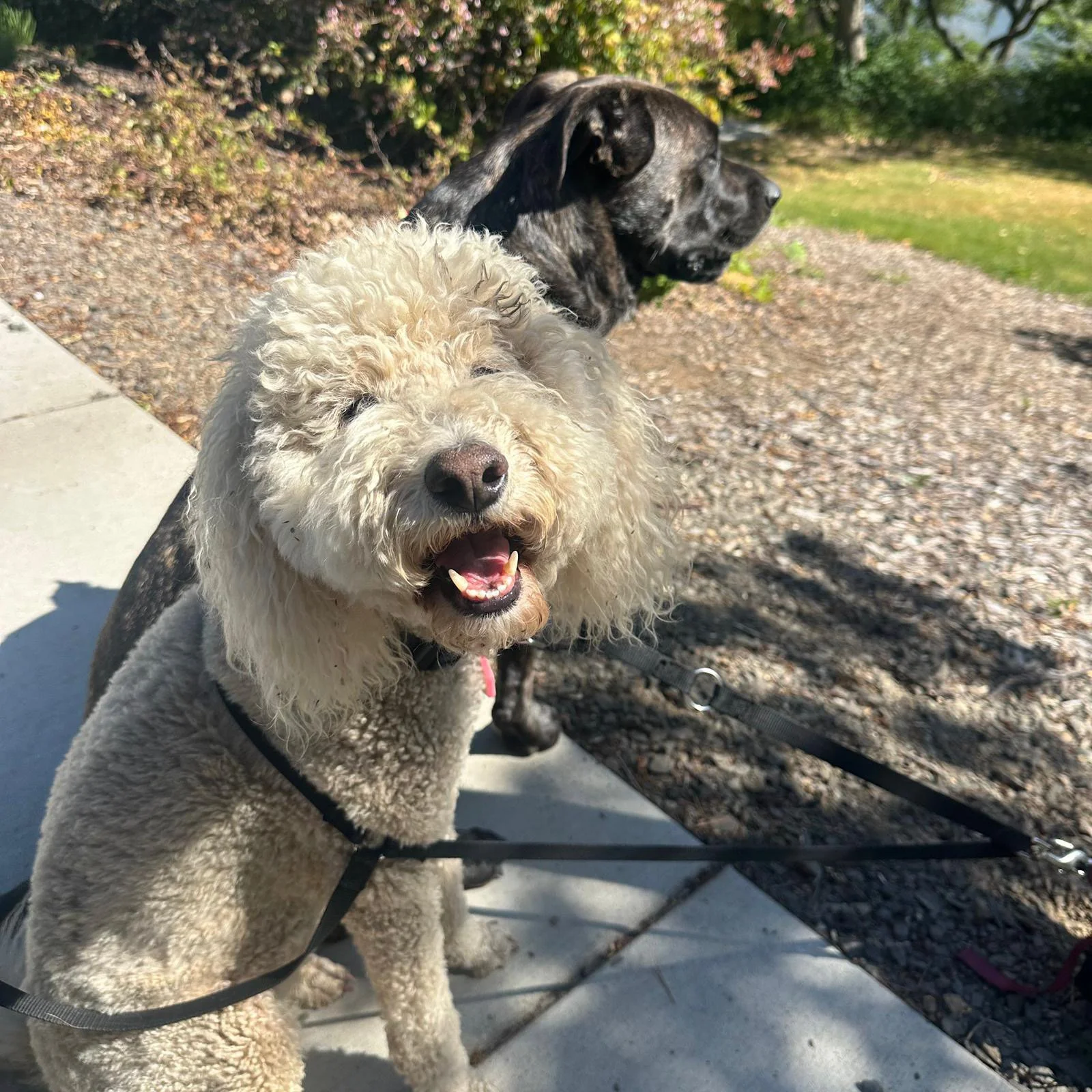 PHOTO-2025-06-11-12-23-32 3.jpeg