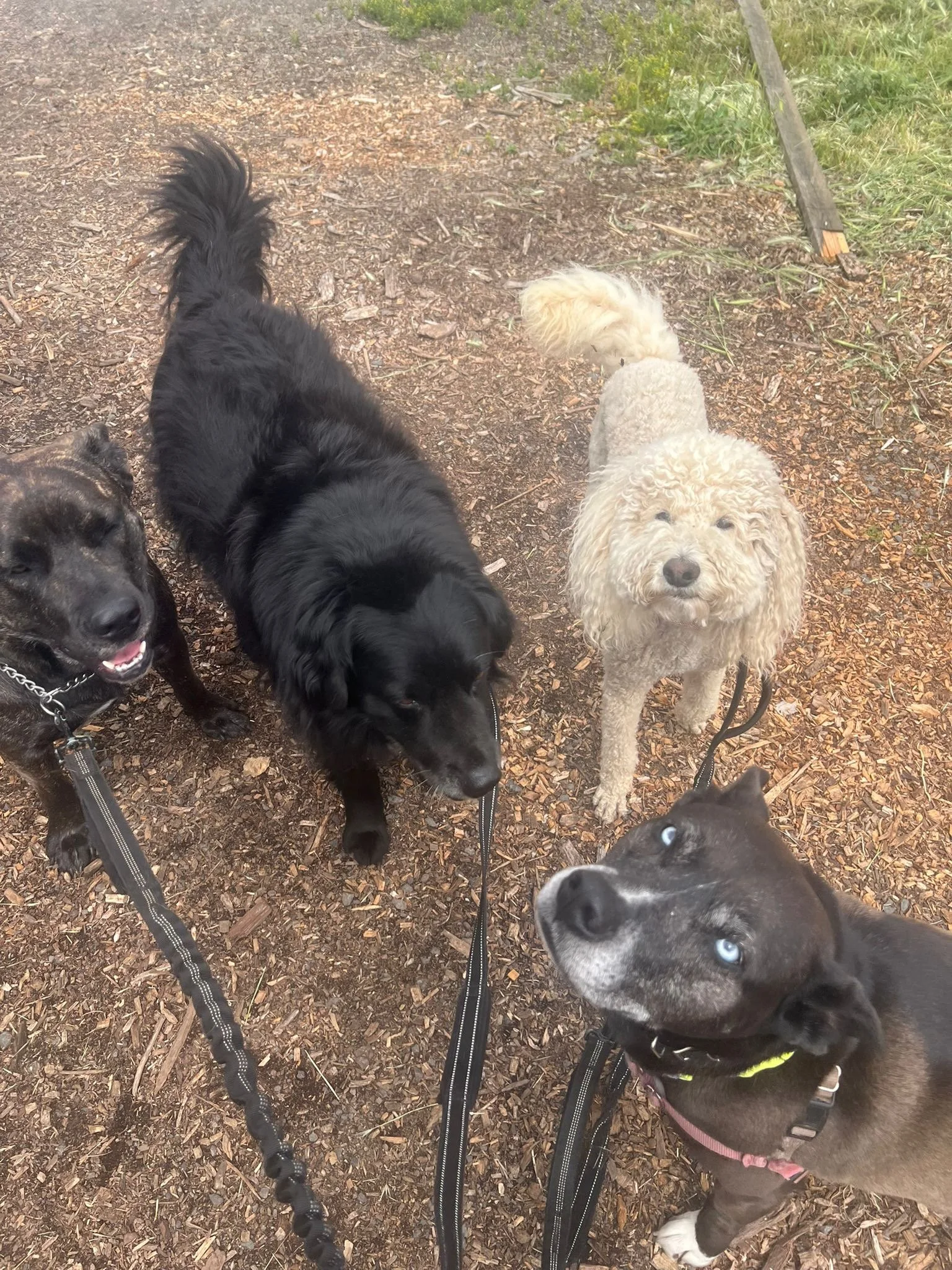 PHOTO-2025-05-15-15-39-10 6.jpeg