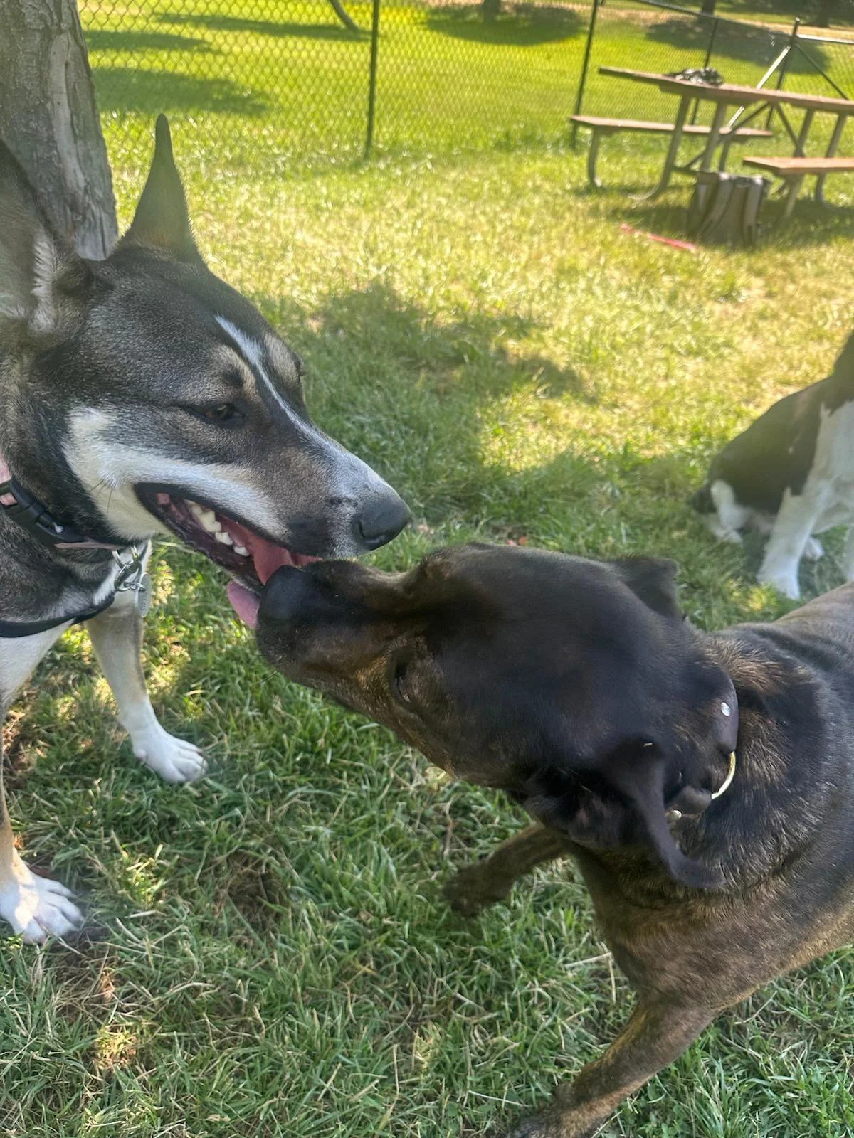 PHOTO-2025-06-05-15-42-22 9.jpeg