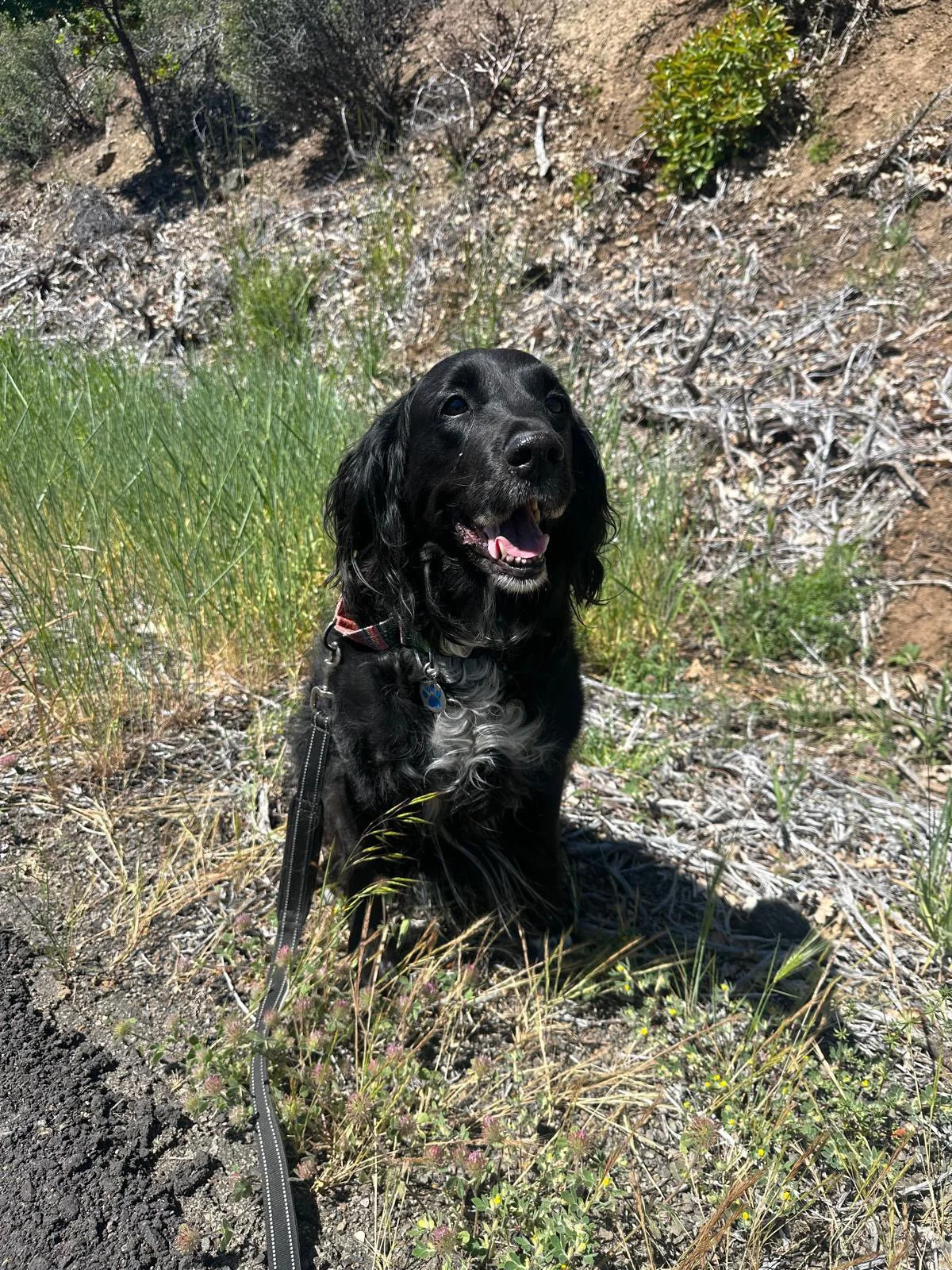 PHOTO-2025-06-03-14-30-35 4.jpeg