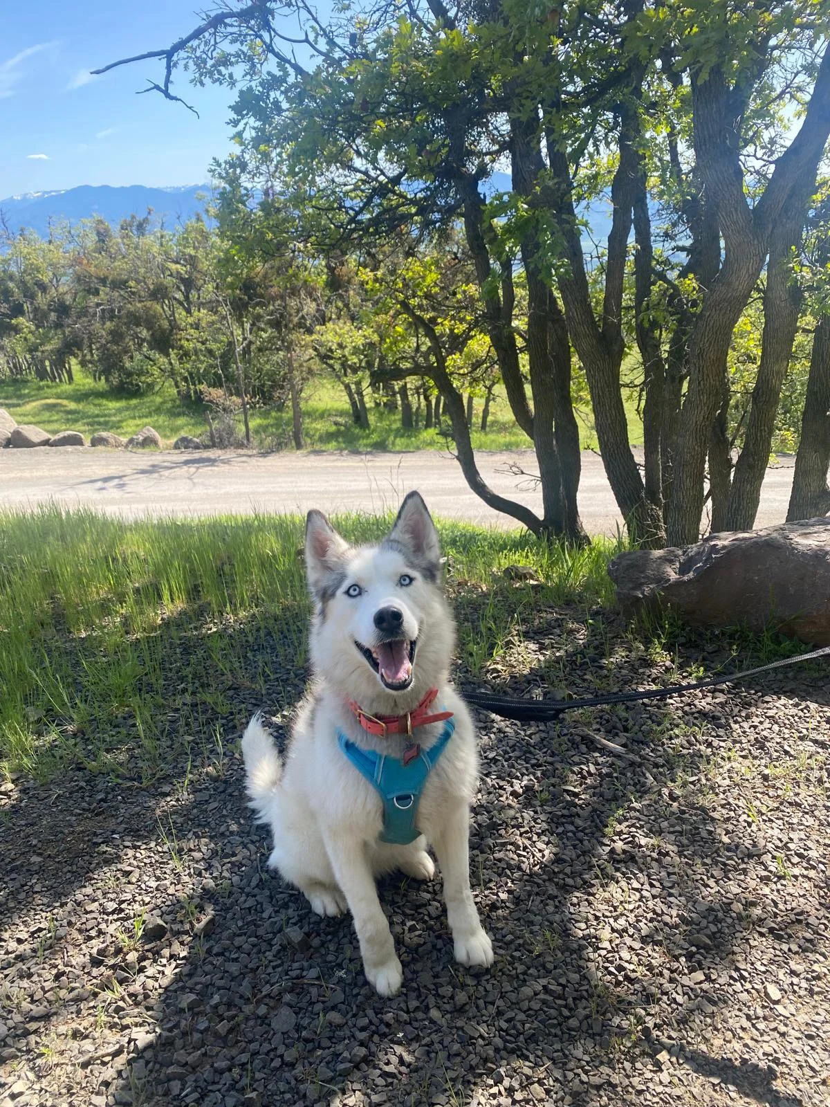 PHOTO-2025-04-30-17-35-32 6.jpeg