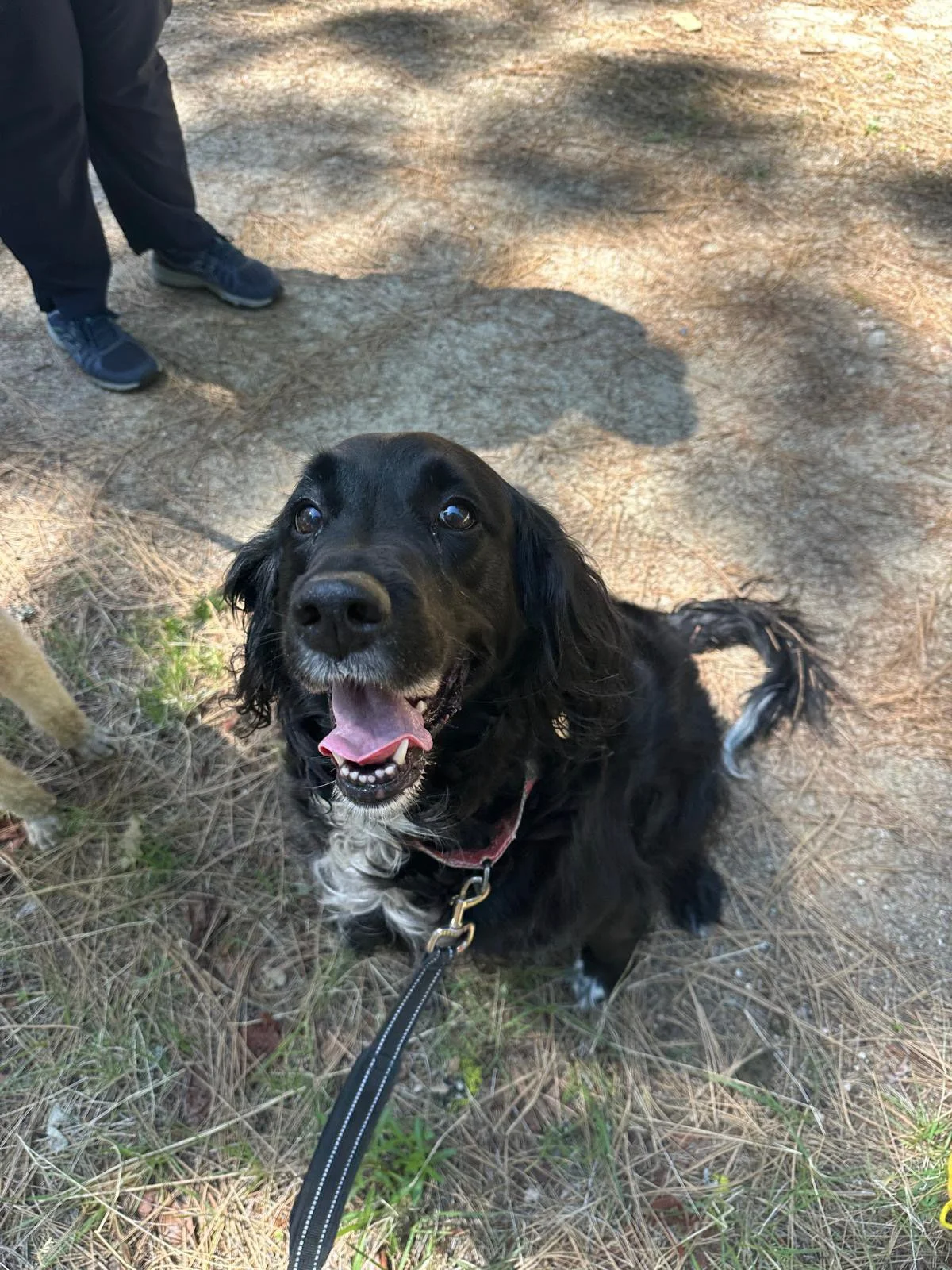 PHOTO-2025-05-03-15-24-11 21.jpeg