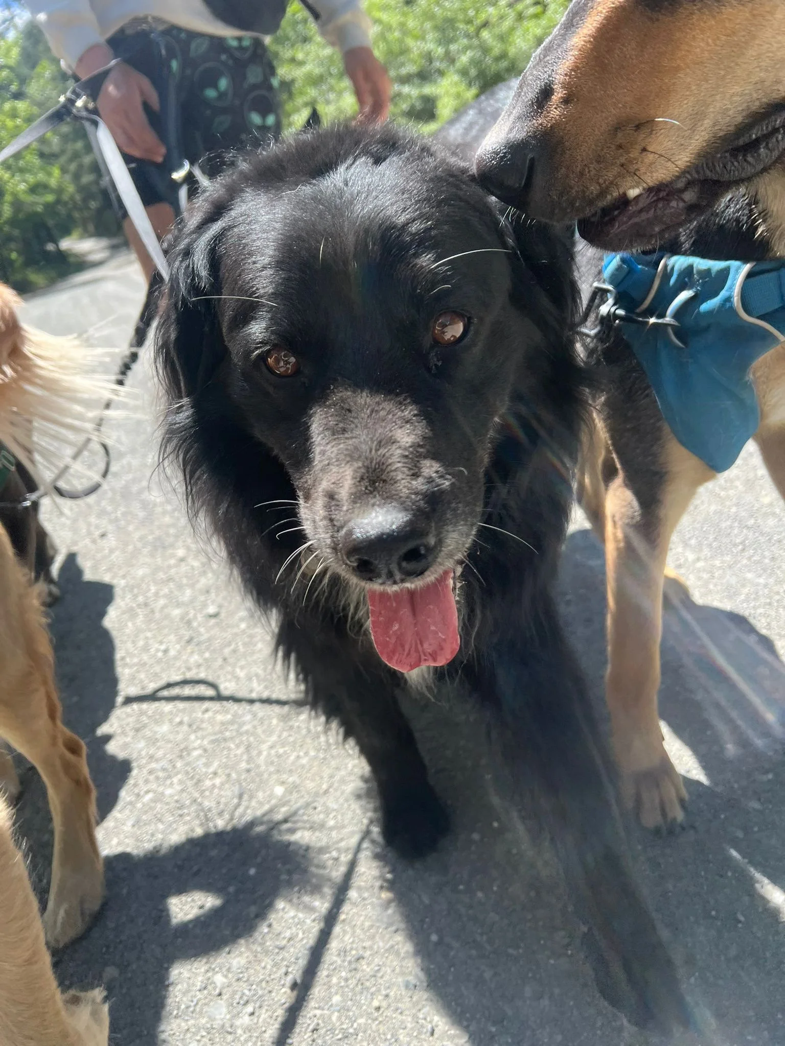 PHOTO-2025-05-07-16-46-33 7.jpeg