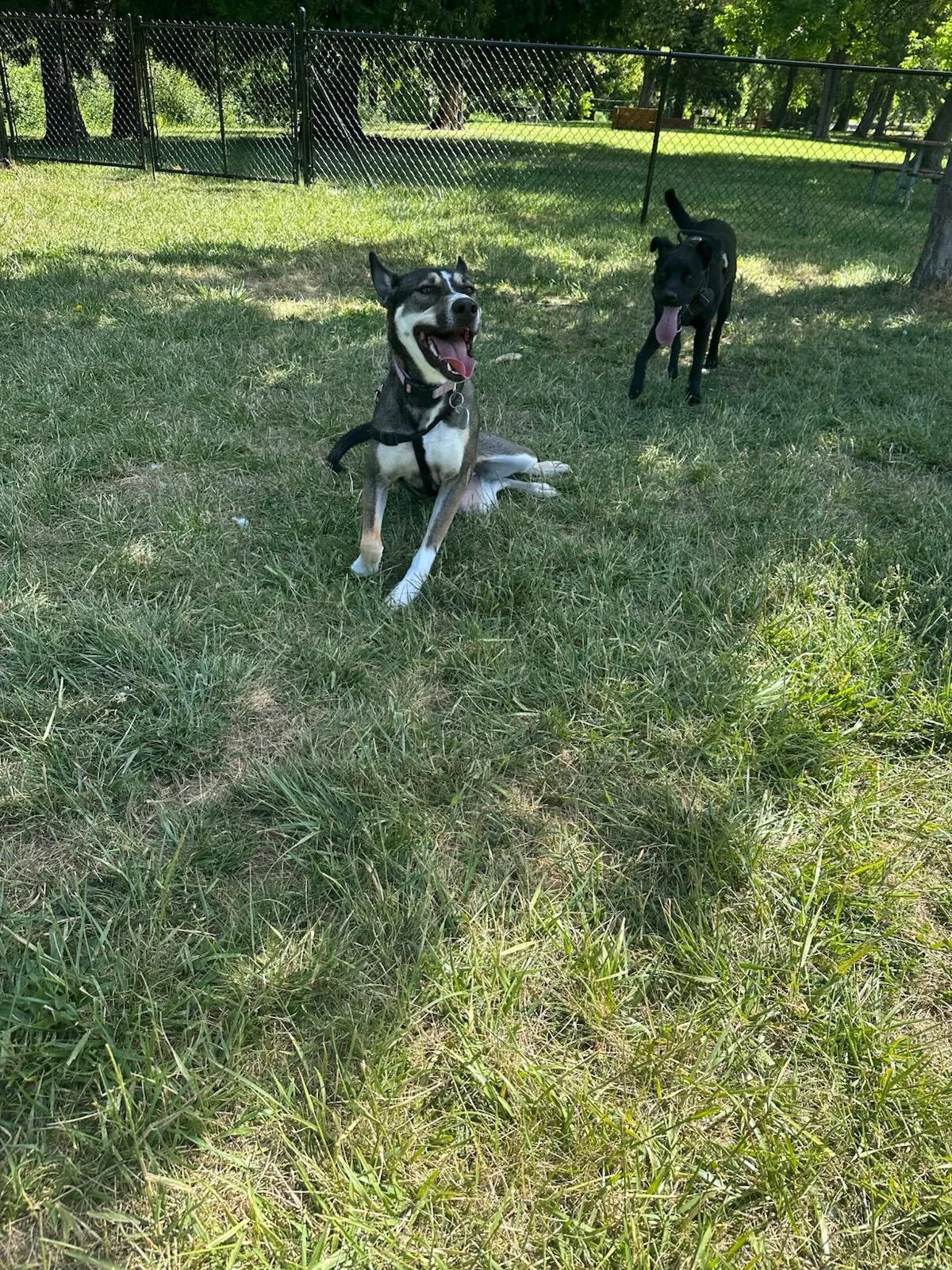 PHOTO-2025-05-22-16-51-35 7.jpeg