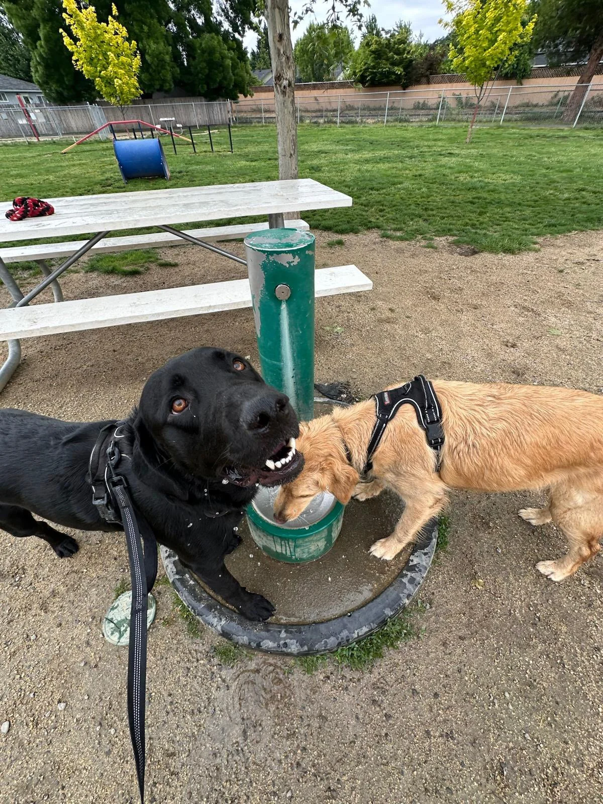 PHOTO-2025-05-19-16-47-23 9.jpeg