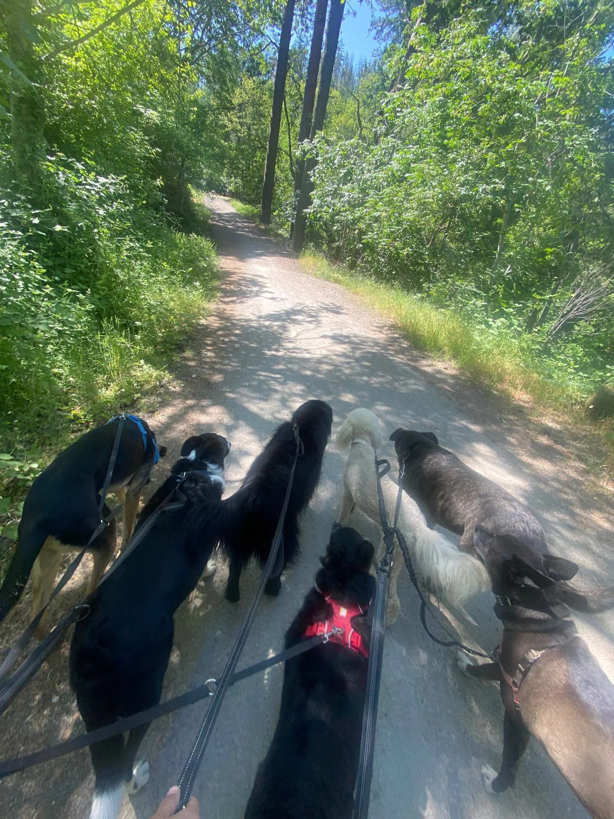 PHOTO-2025-06-04-16-48-49 3.jpeg