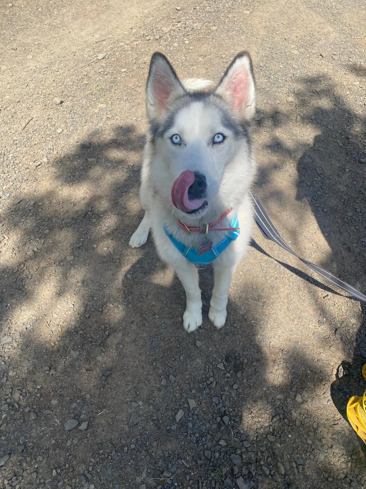 PHOTO-2025-04-30-17-35-32 4.jpeg