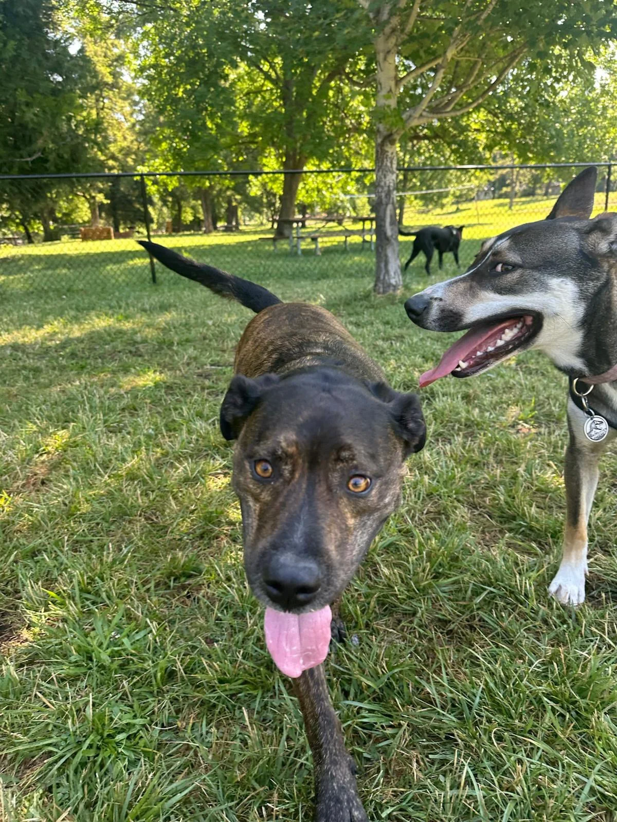 PHOTO-2025-06-05-15-42-21 5.jpeg