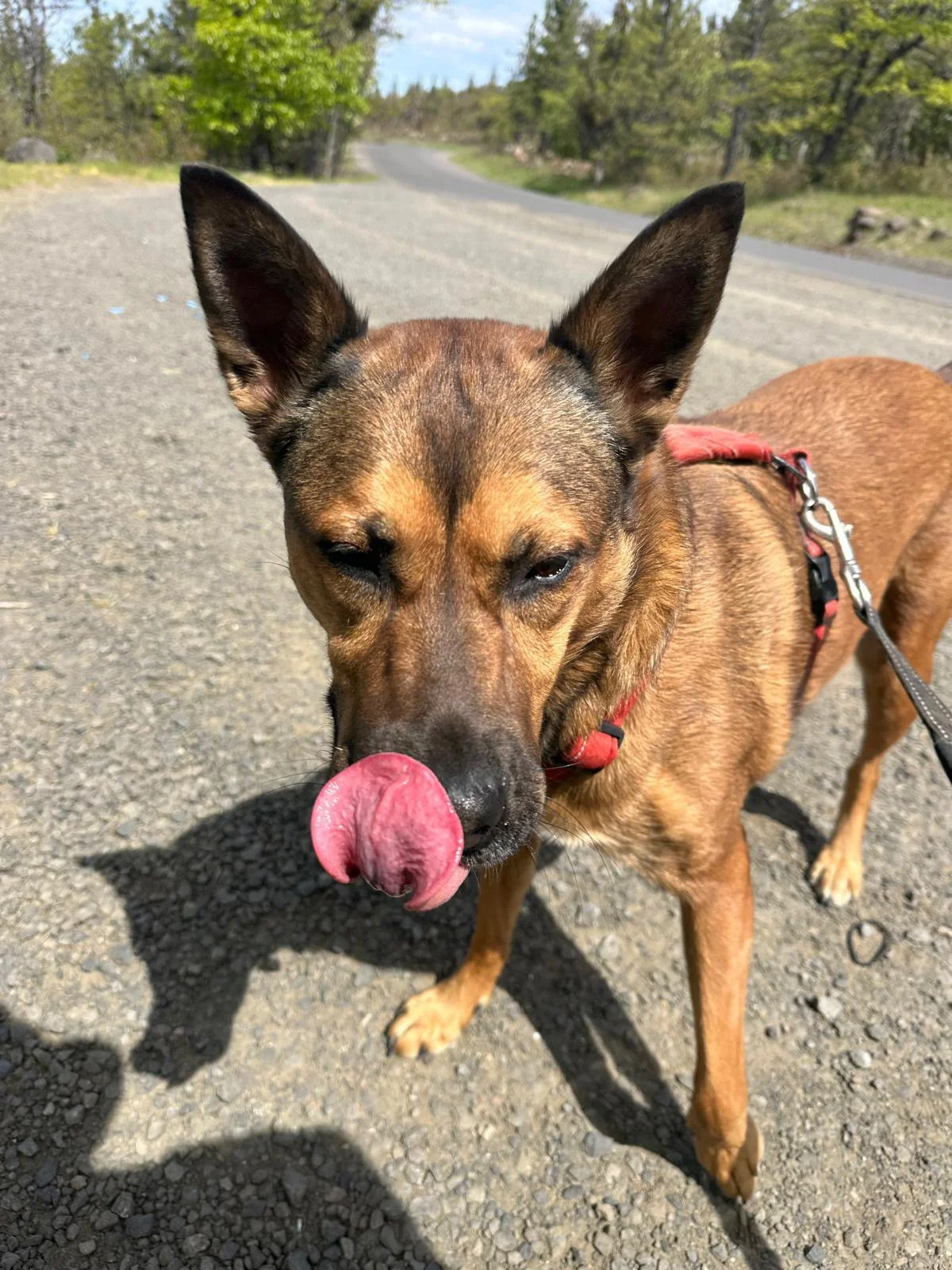 PHOTO-2025-04-30-17-33-33 2.jpeg