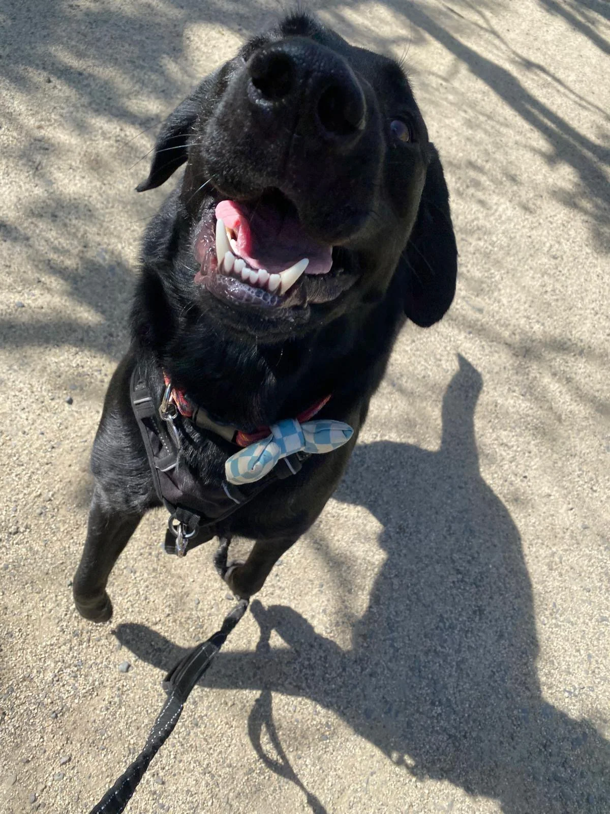 PHOTO-2025-04-30-17-35-32 2.jpeg