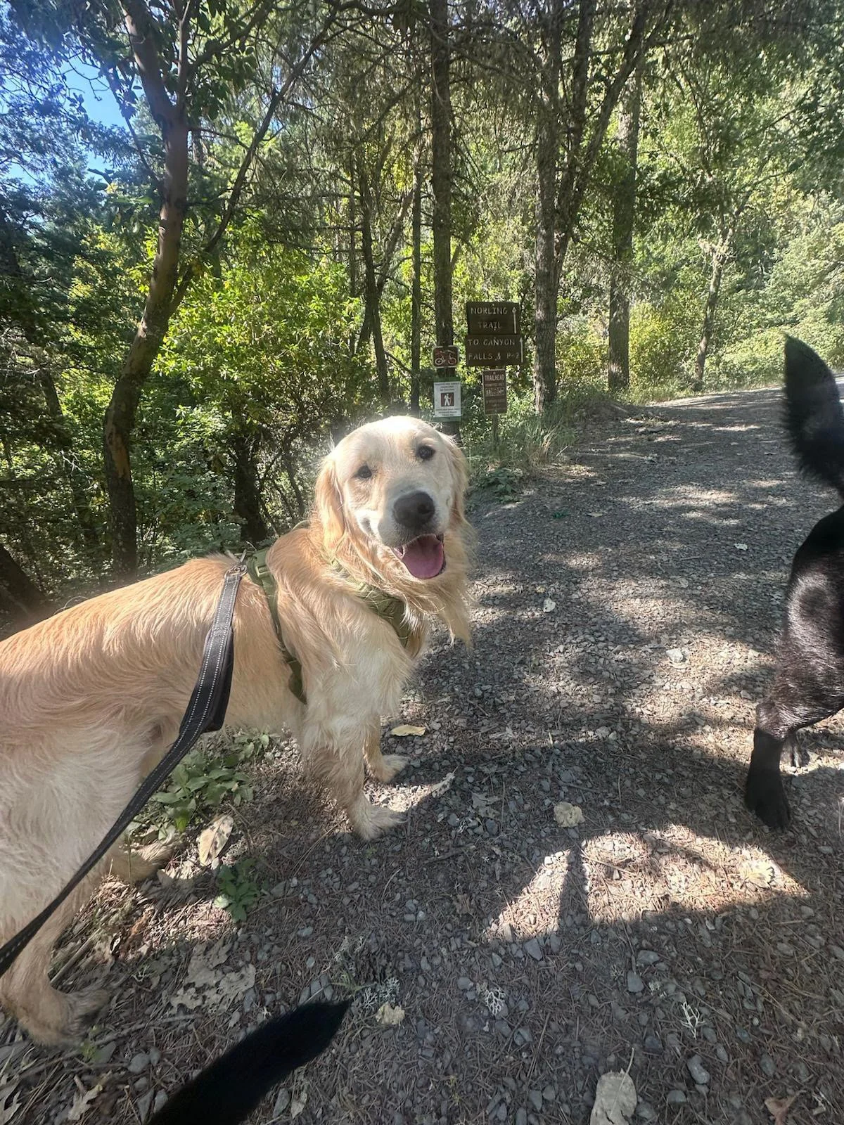 PHOTO-2025-06-09-21-50-23 4.jpeg