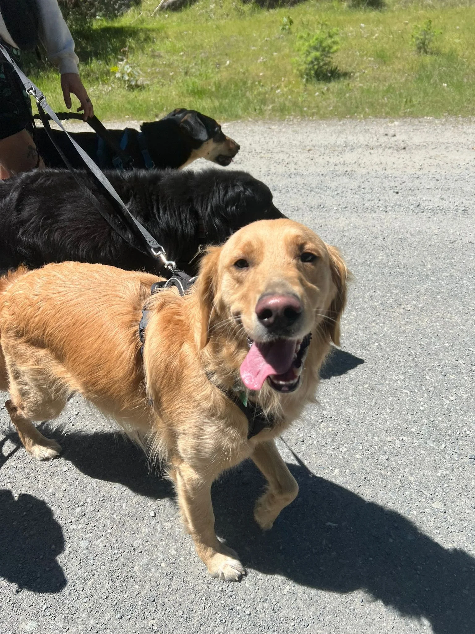 PHOTO-2025-05-07-16-46-33 6.jpeg