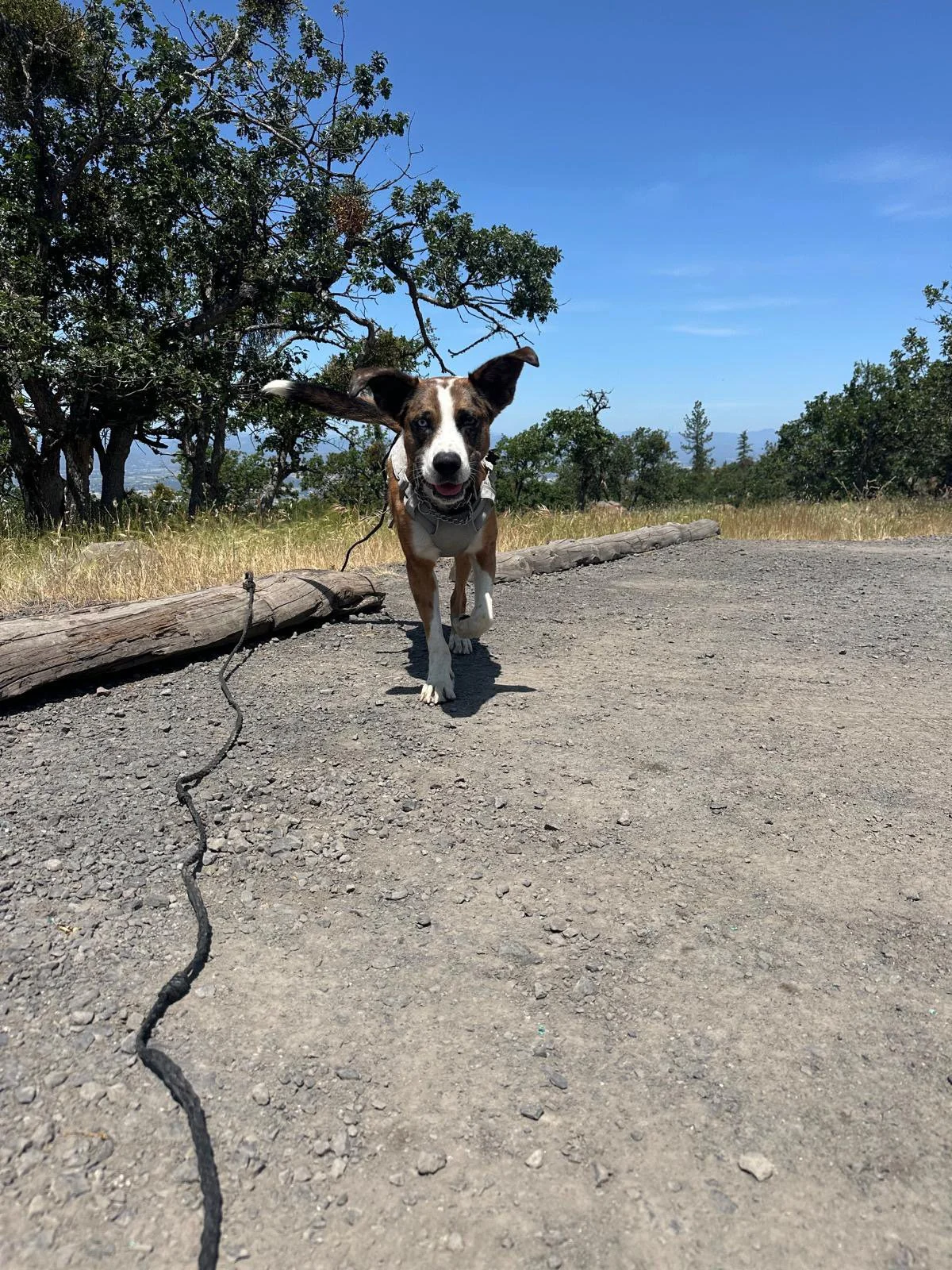 PHOTO-2025-06-12-15-13-51 3.jpeg