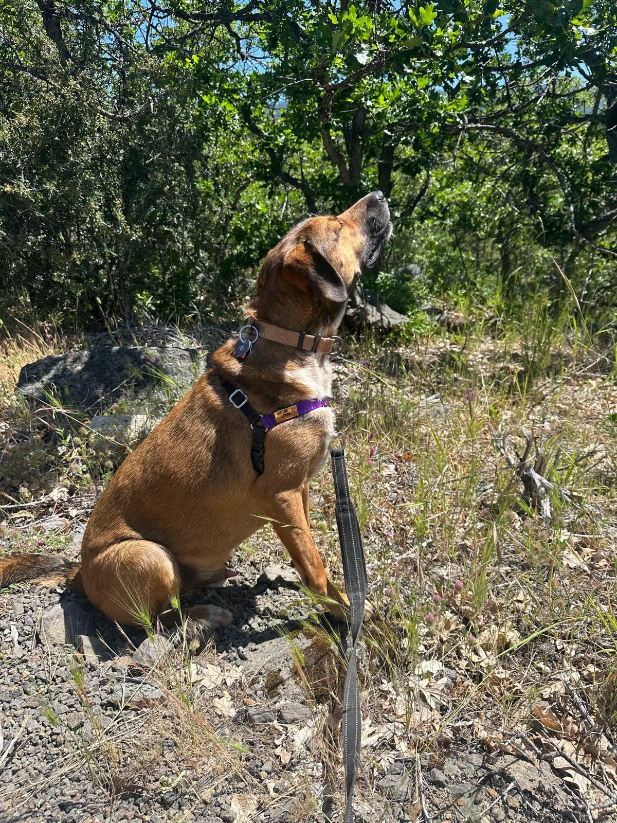 PHOTO-2025-06-03-14-30-34 8.jpeg