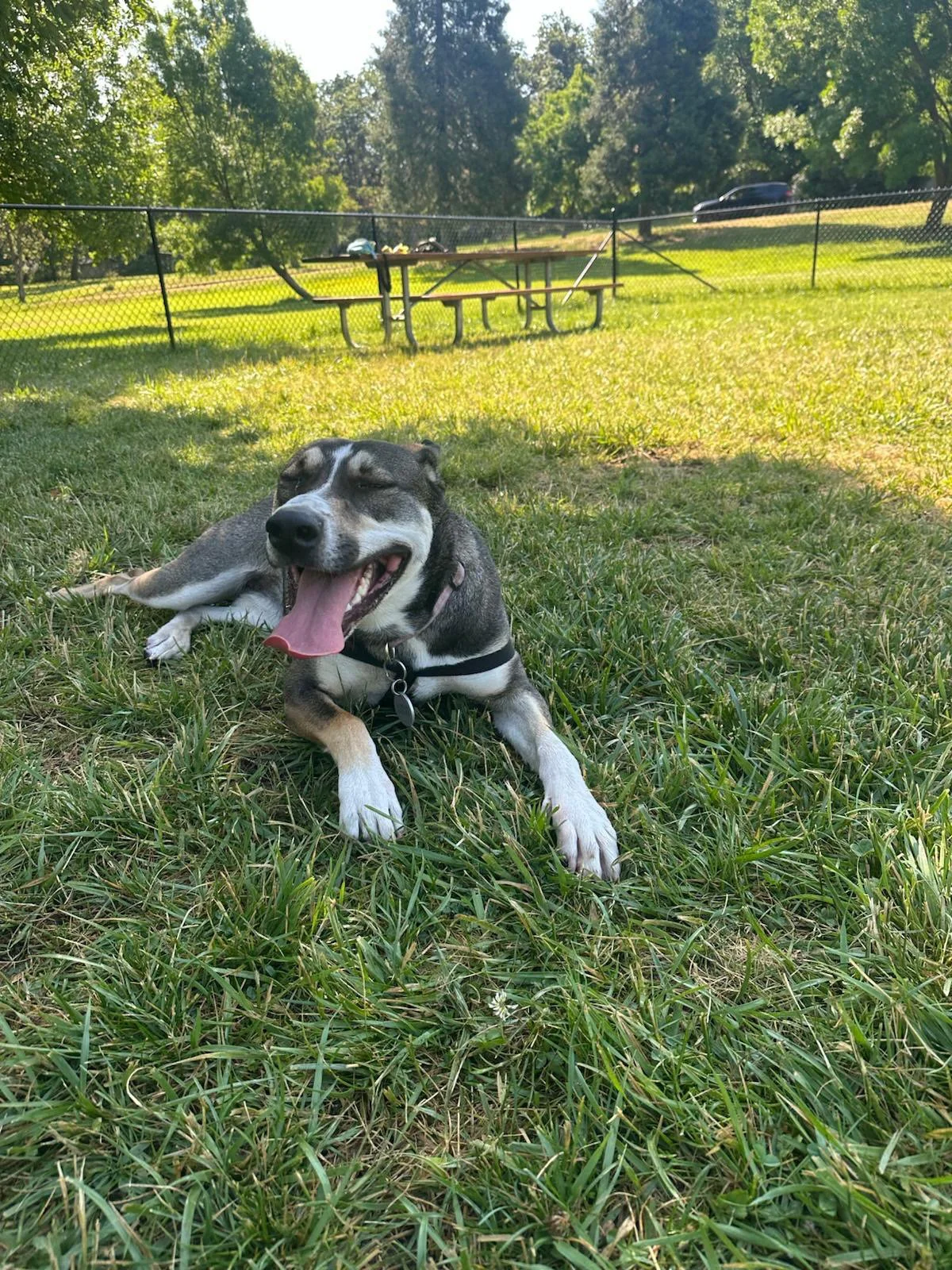 PHOTO-2025-06-05-15-42-21 2.jpeg