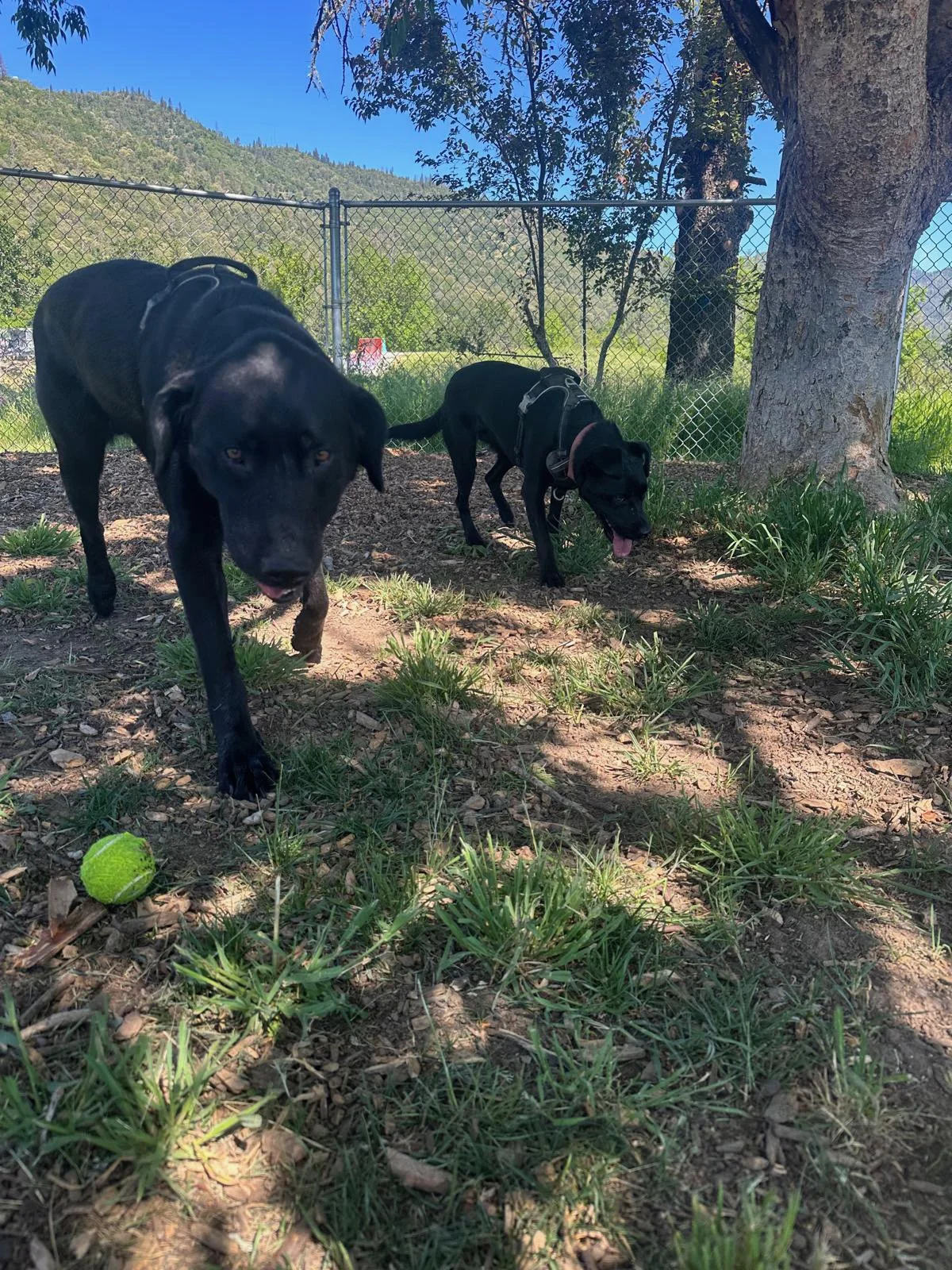 PHOTO-2025-05-06-16-14-10 2.jpeg