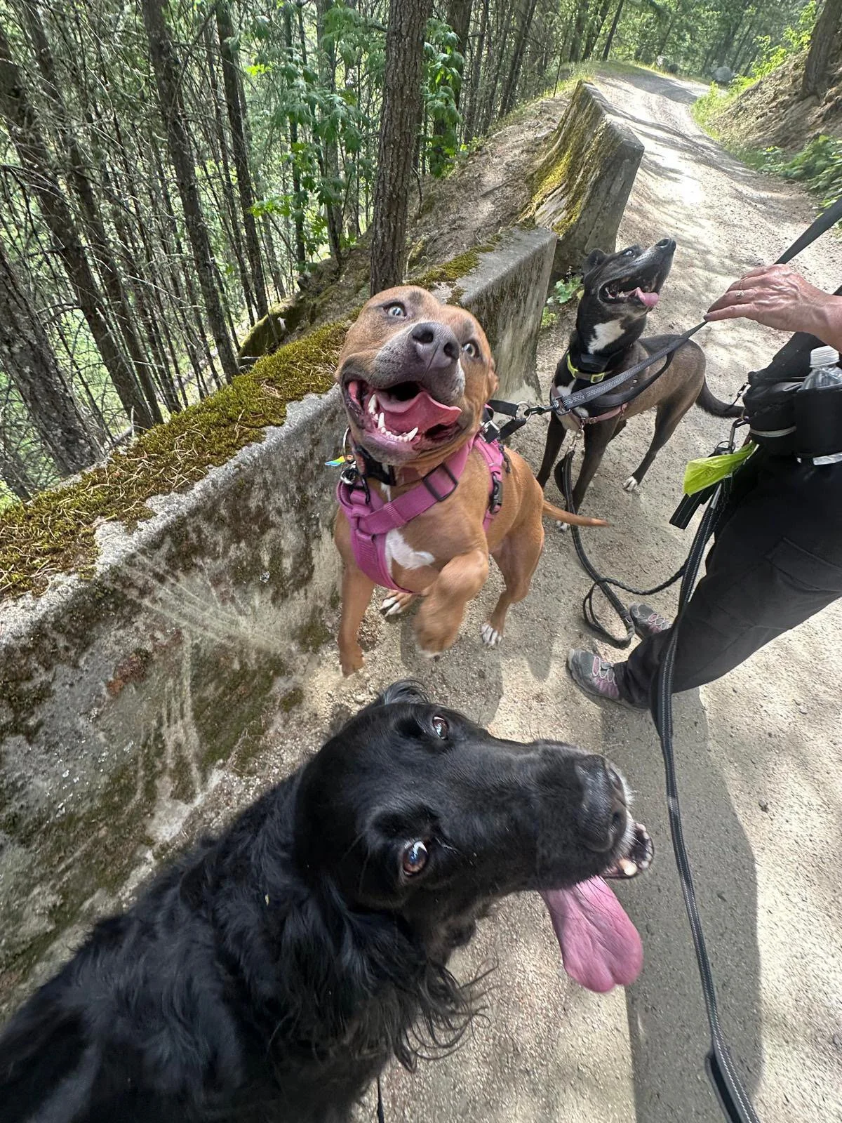 PHOTO-2025-06-06-17-26-23 5.jpeg