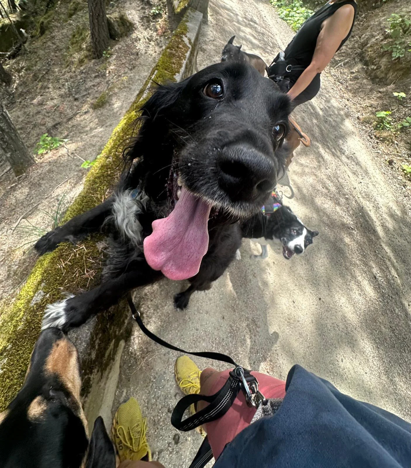 PHOTO-2025-06-06-17-26-23 2.jpeg