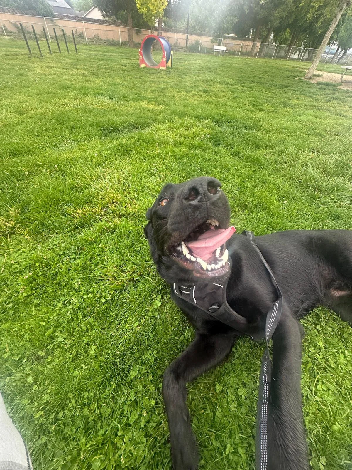 PHOTO-2025-05-19-16-47-23 5.jpeg