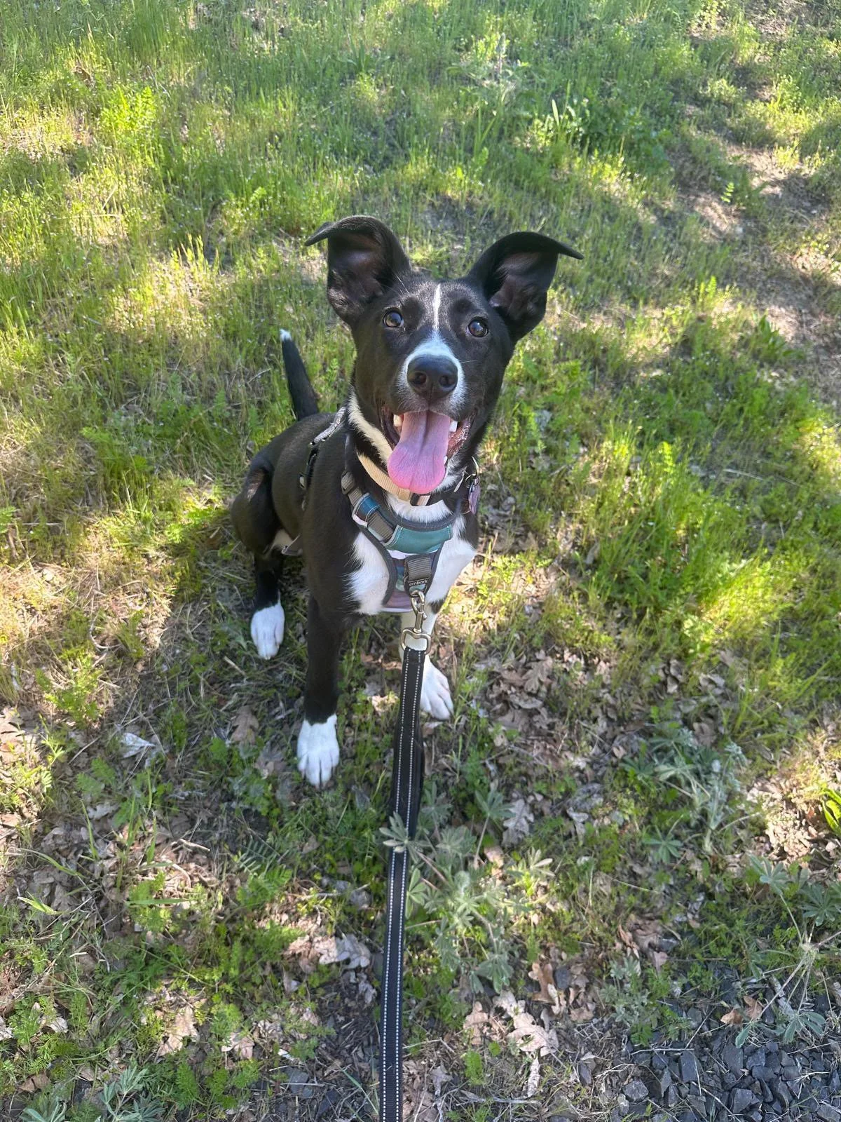 PHOTO-2025-05-06-16-14-13 3.jpeg